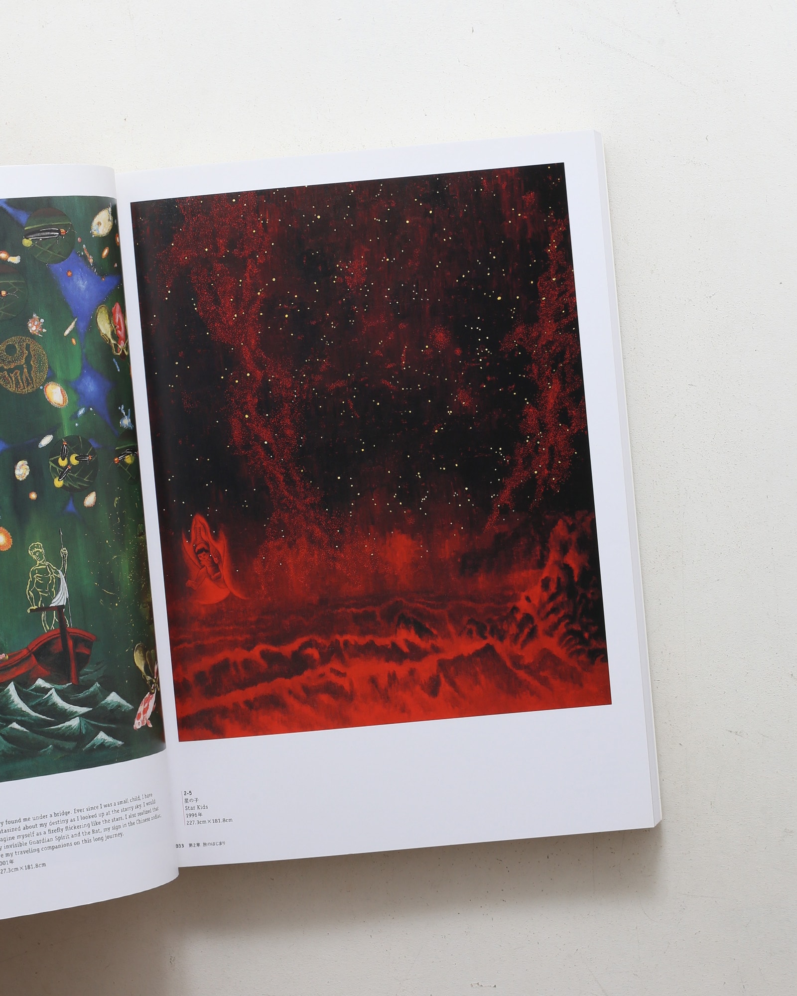 nsts-02417