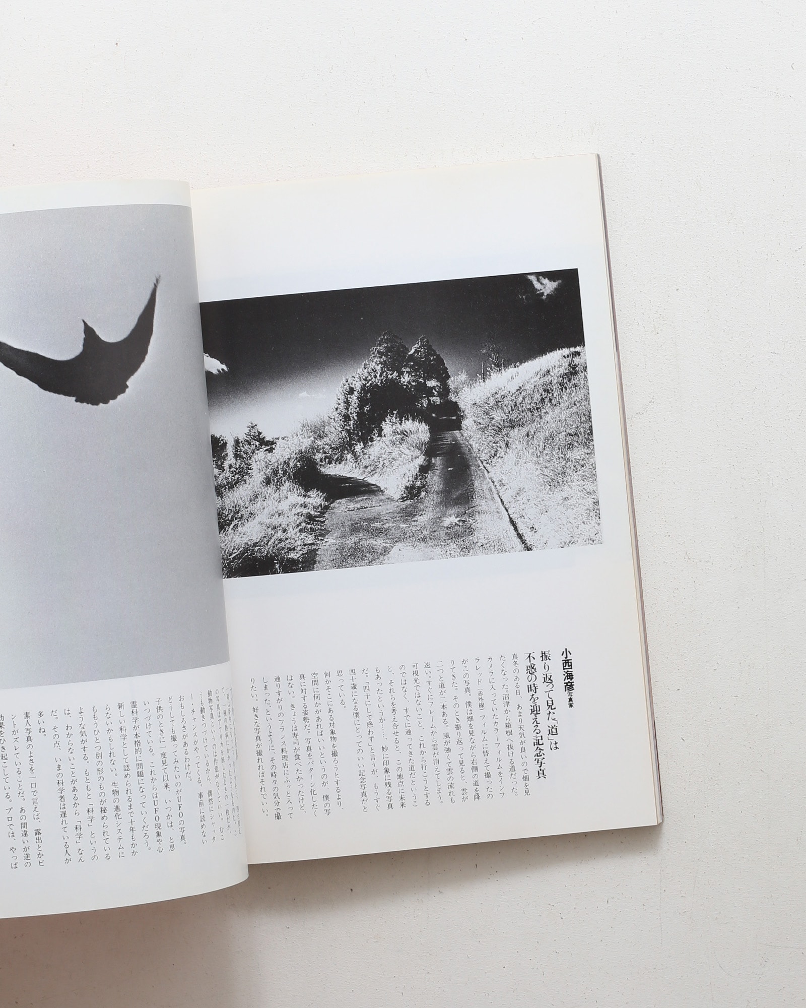 nsts-02993