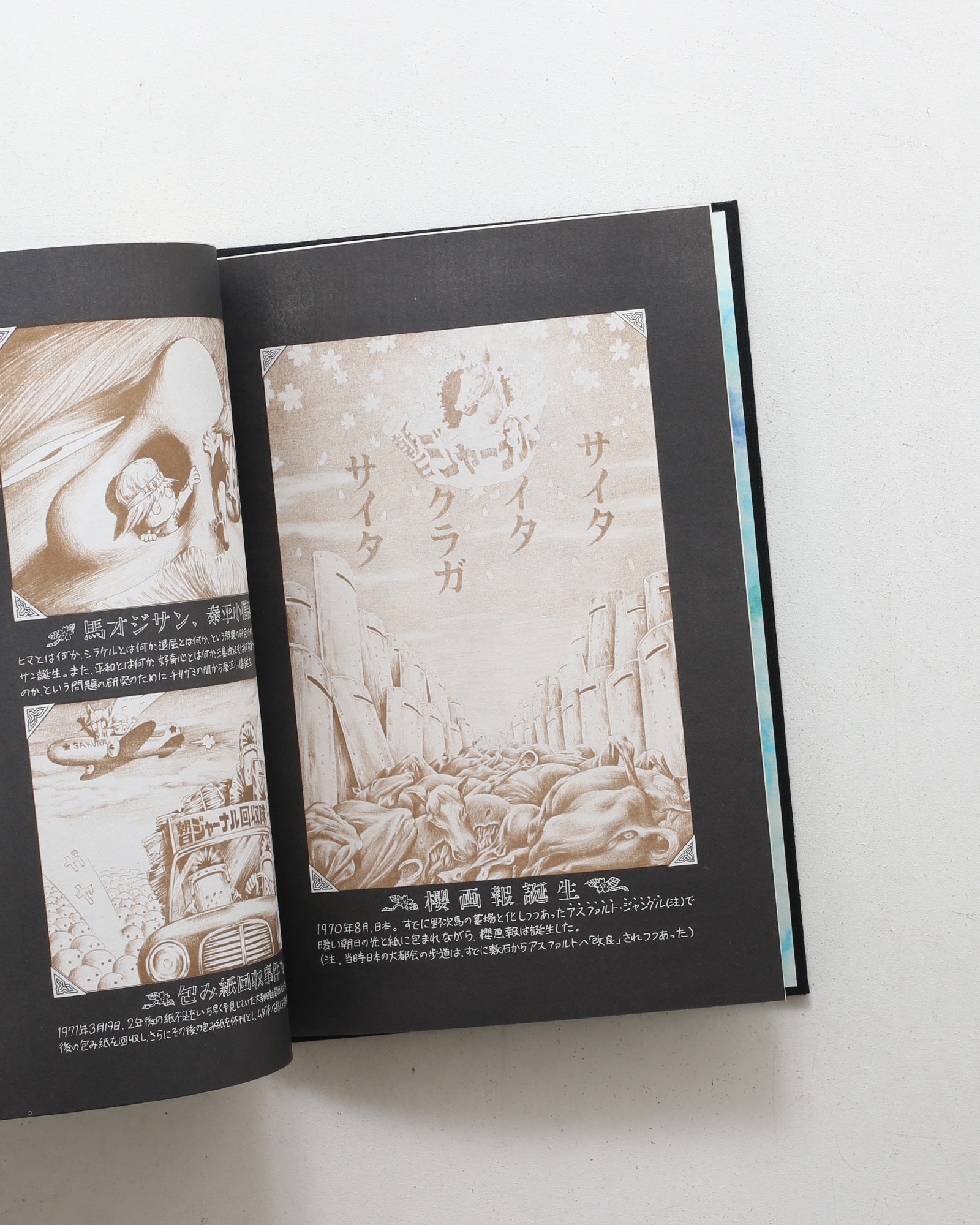 櫻画報・激動の千二百五十日 | 赤瀬川原平 | nostos books ノストス