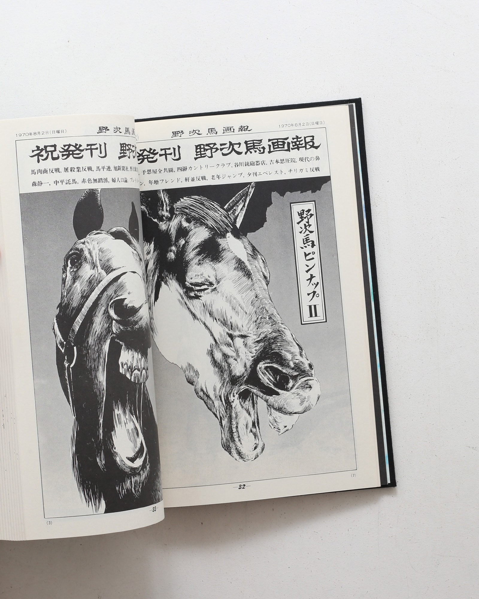 櫻画報・激動の千二百五十日 | 赤瀬川原平 | nostos books ノストス