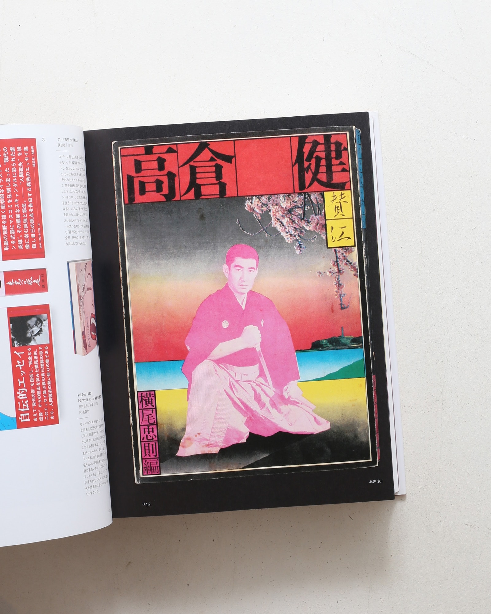 横尾忠則全装幀集 Tadanori Yokoo: Complete Book Designs | nostos