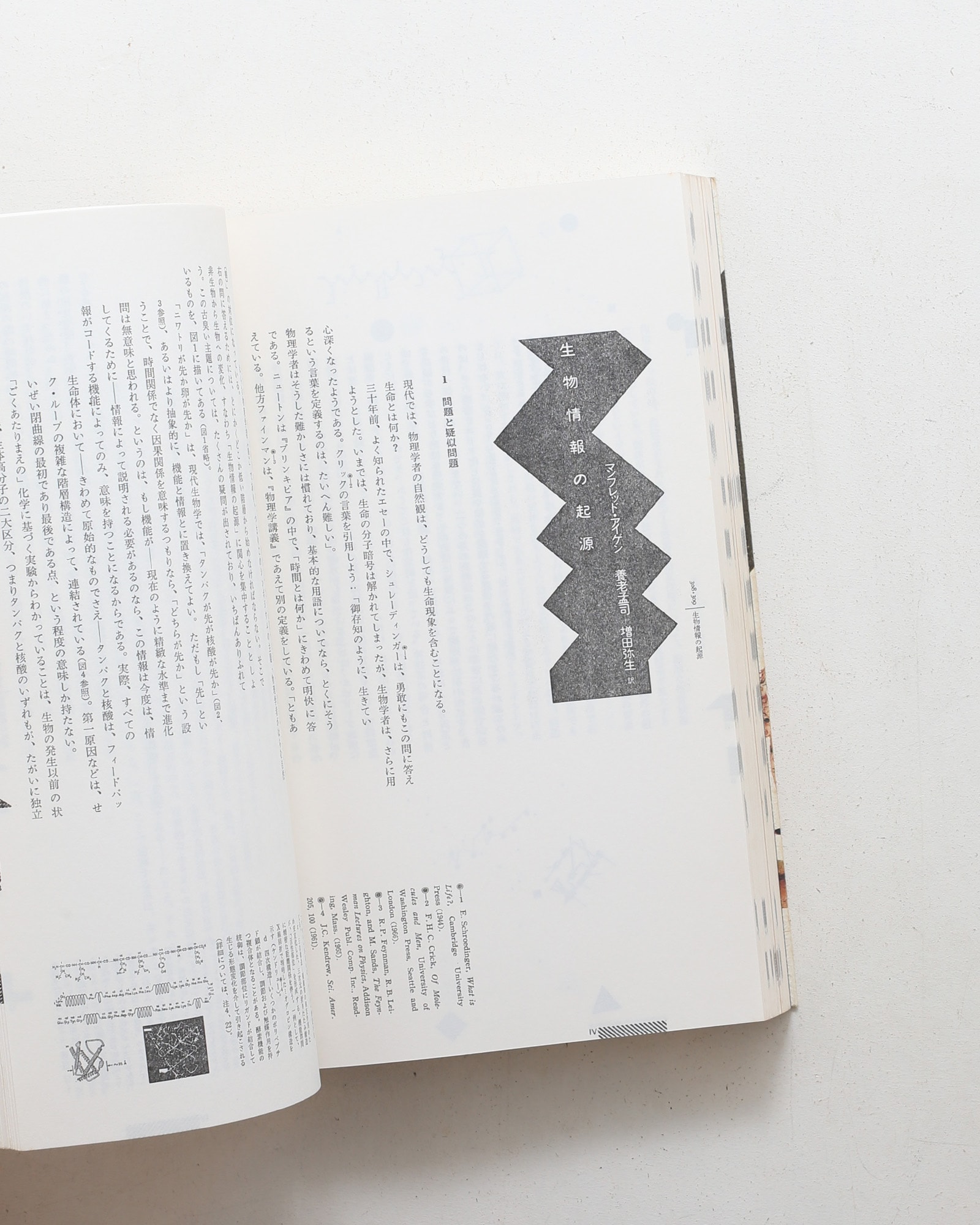 nsts-05239