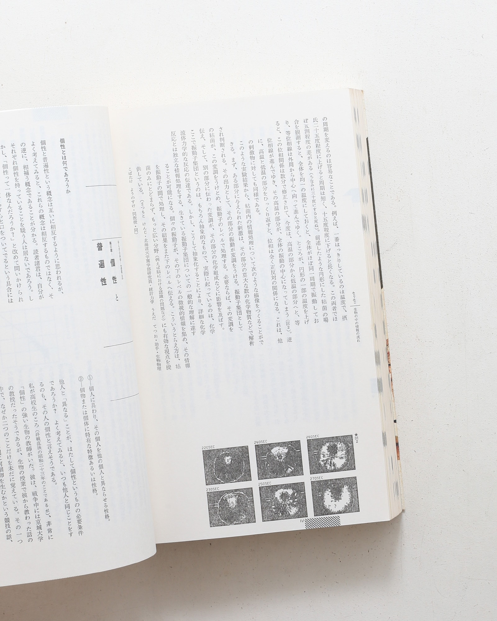 nsts-05239
