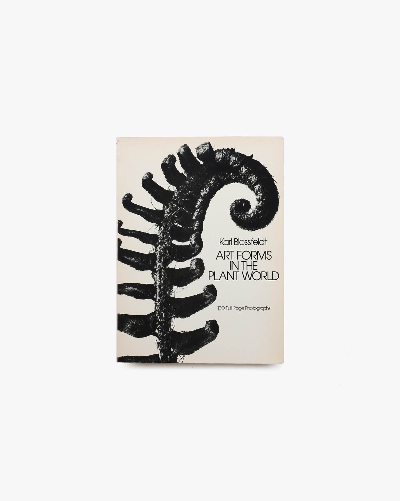 Art Forms in the Plant World | Karl Blossfeldt | nostos books