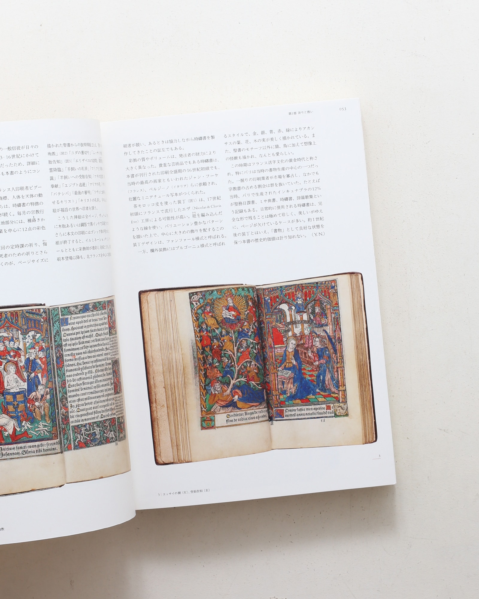 ヴァチカン教皇庁図書館展 II 書物がひらくルネサンス | nostos books