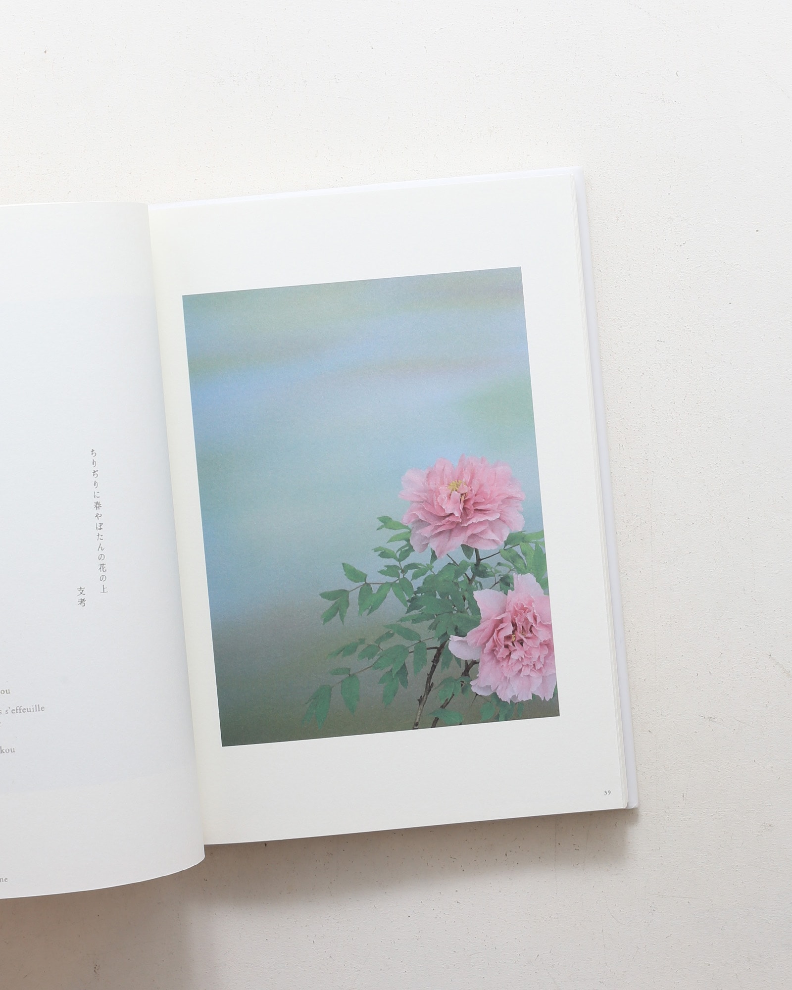 和花 小林鷹写真集