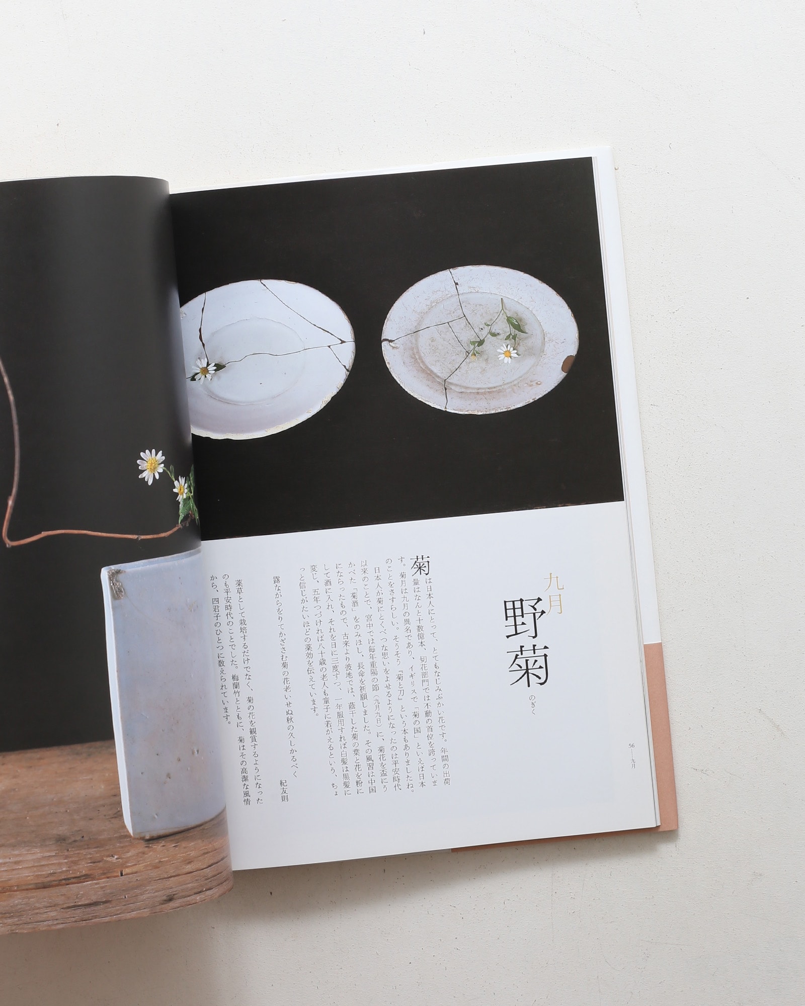 今様花伝書 | 川瀬敏郎