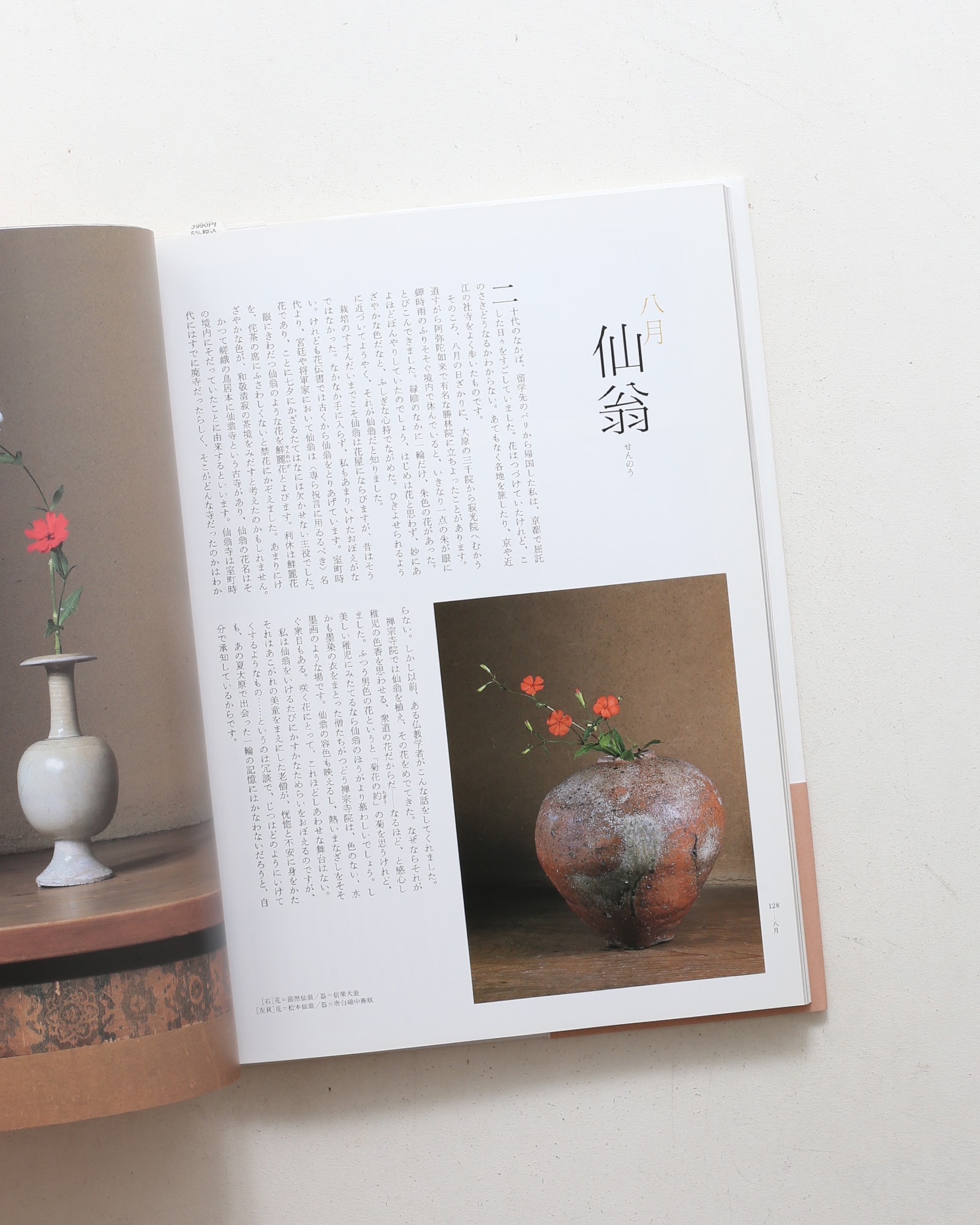 今様花伝書 | 川瀬敏郎