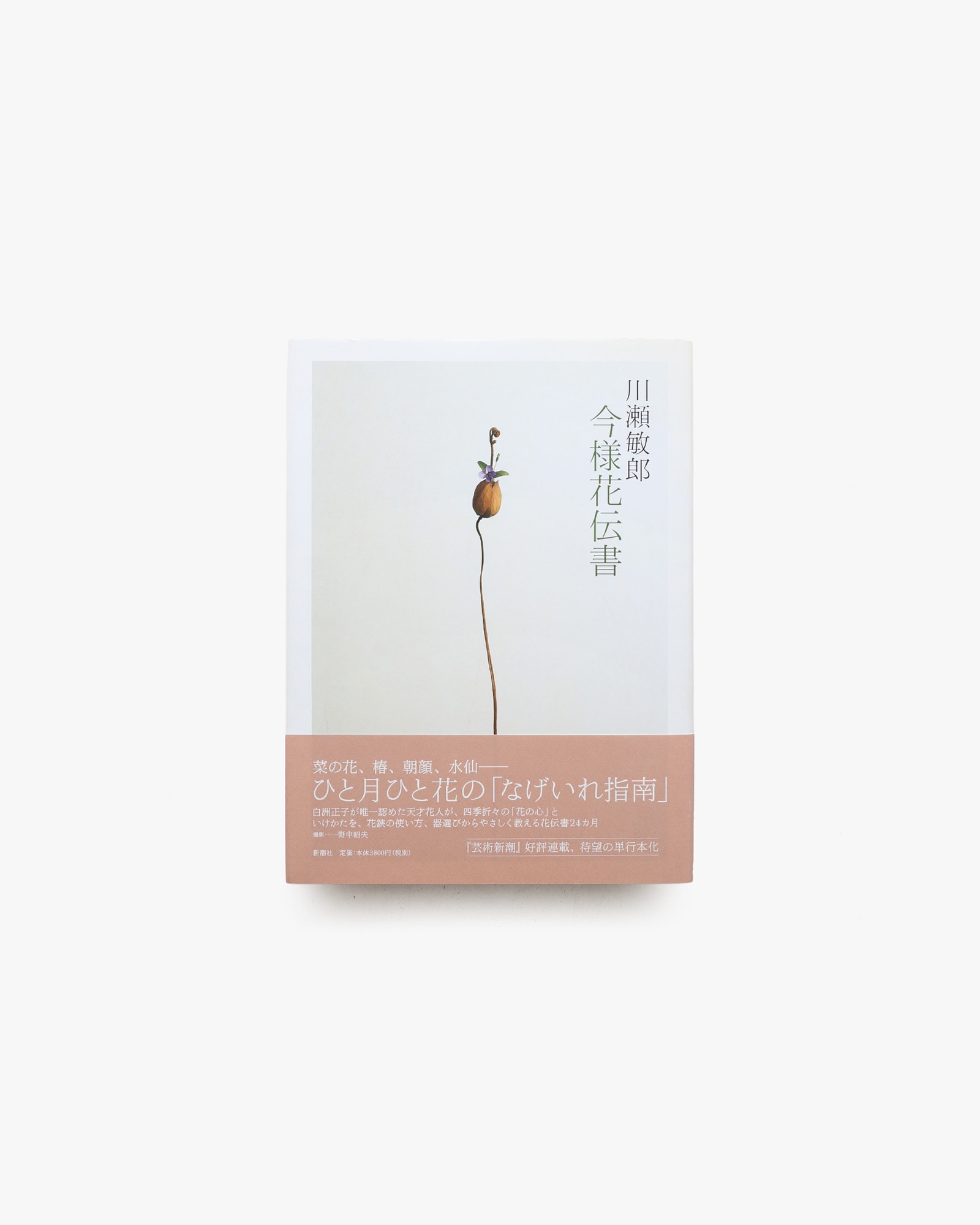 今様花伝書 | 川瀬敏郎