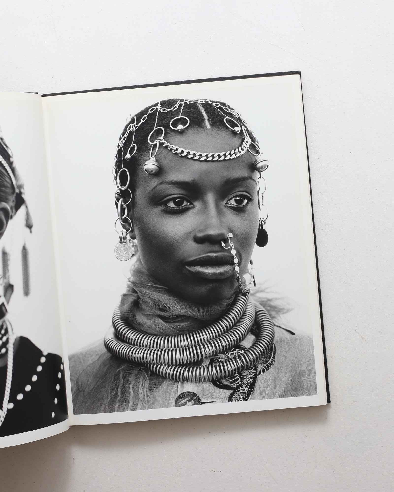 Patrick Demarchelier: Photographs ハードカバー版 | nostos books