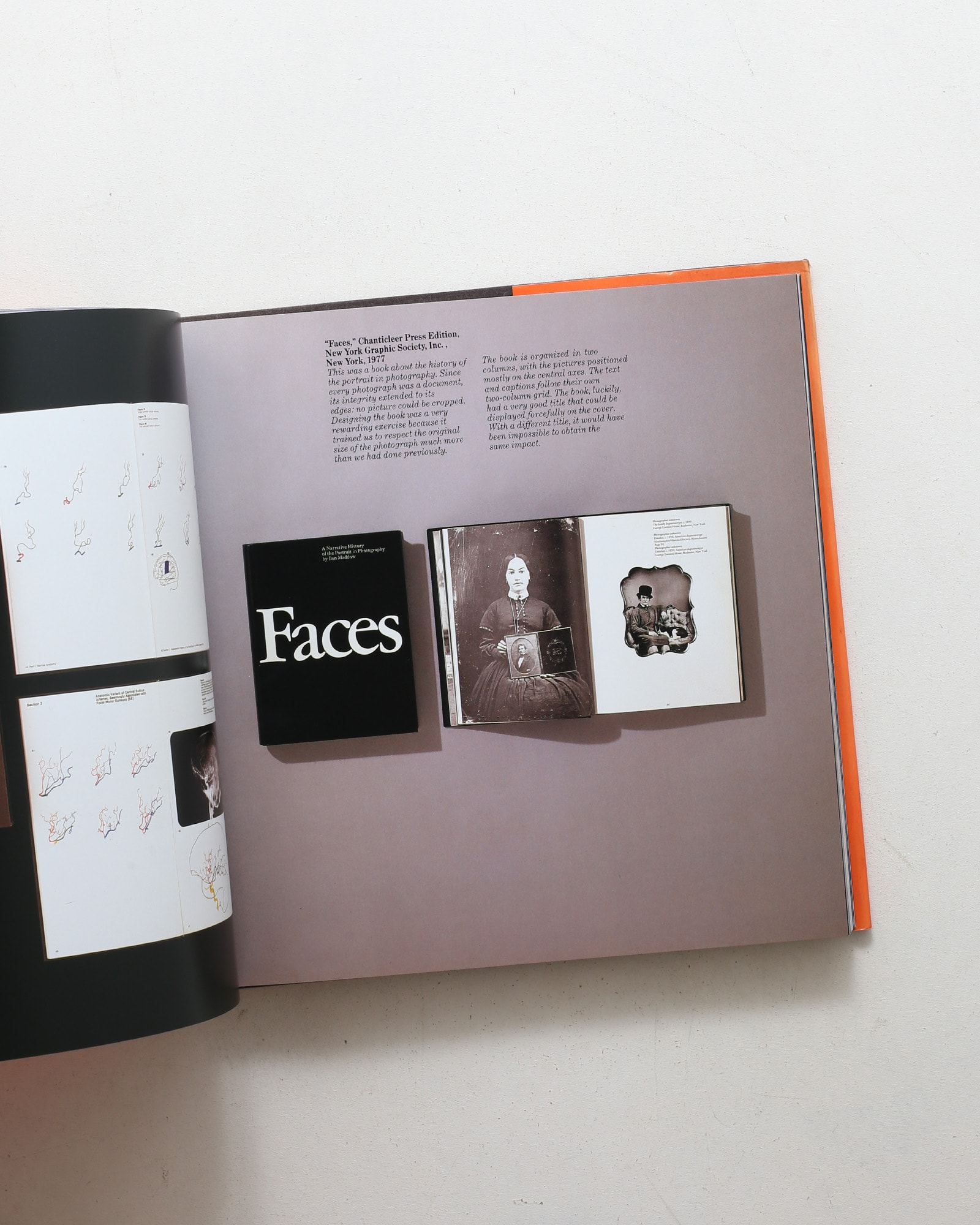 Design Vignelli | Germano Celant
