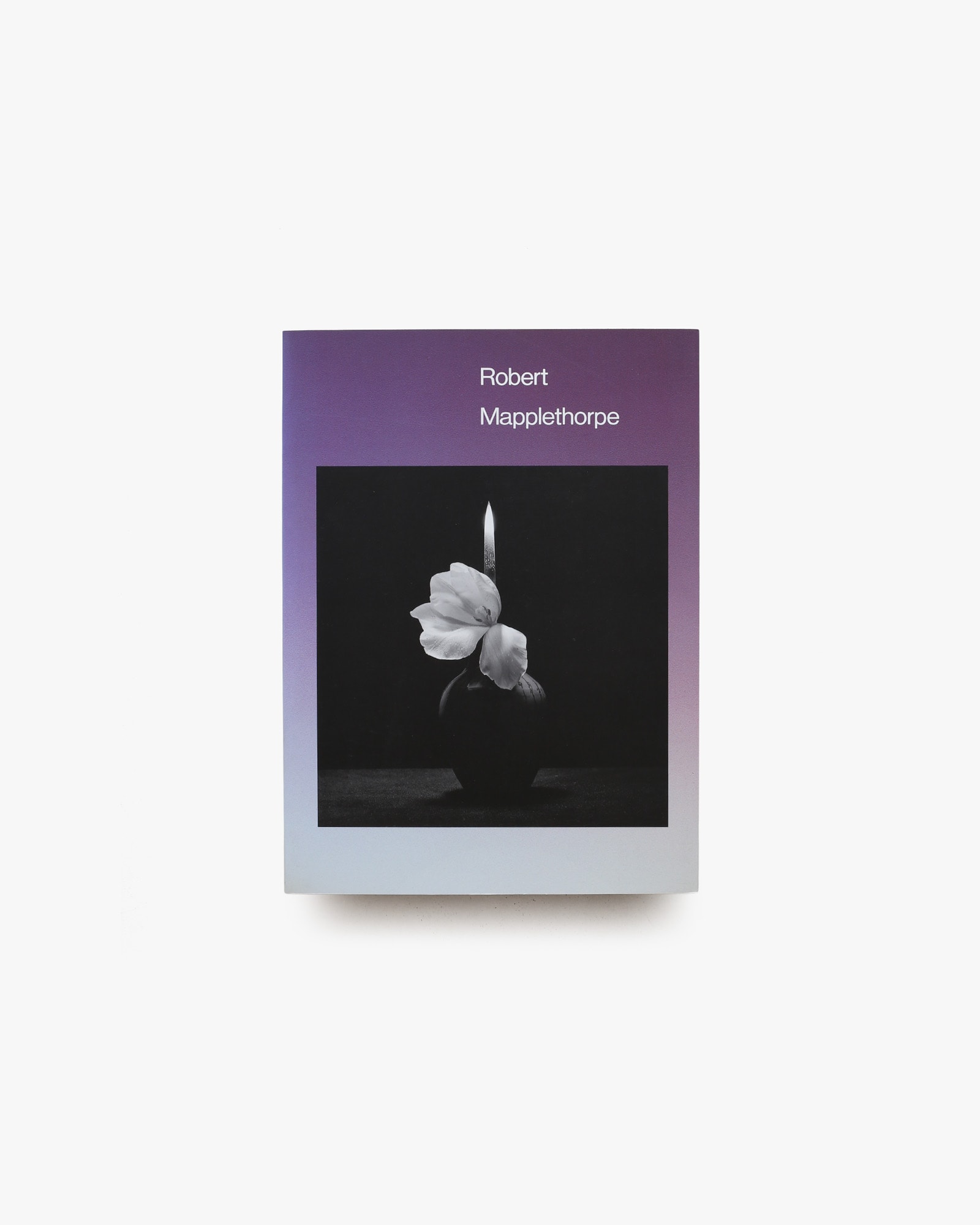 ロバート・メイプルソープ展 | nostos books ノストスブックス