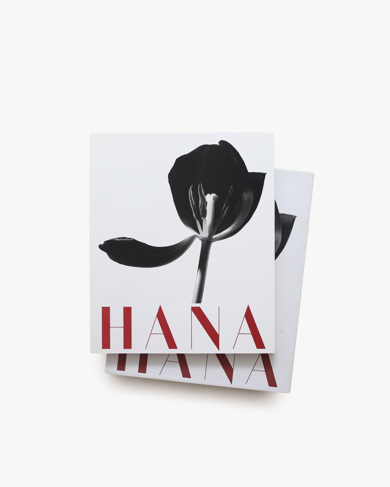 HANA | Yasuhiro Ishimoto