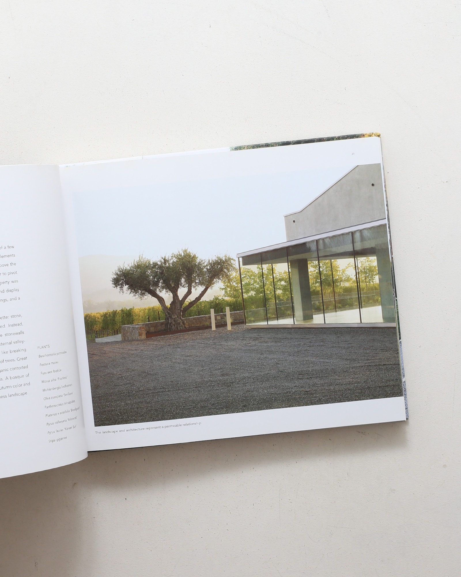 Andrea Cochran: Landscapes