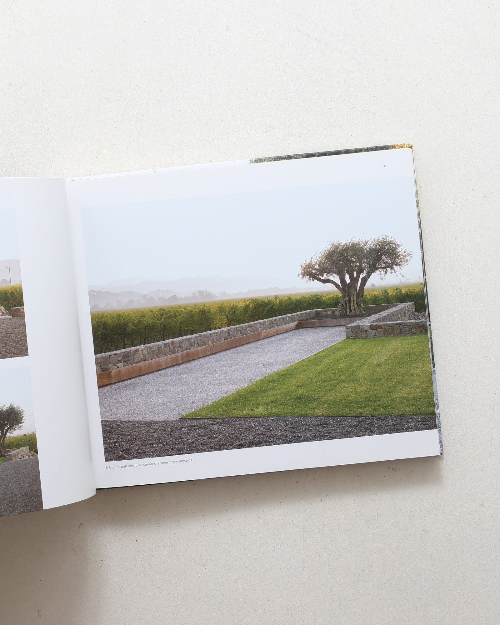 Andrea Cochran: Landscapes | nostos books ノストスブックス