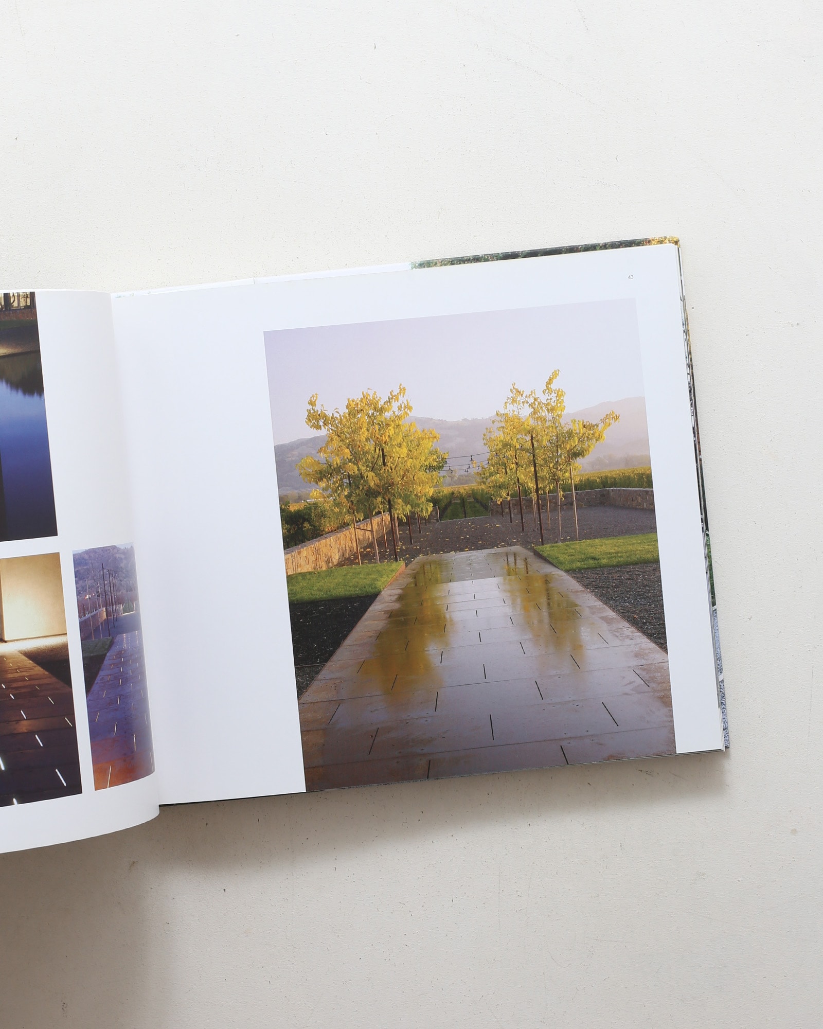 Andrea Cochran: Landscapes