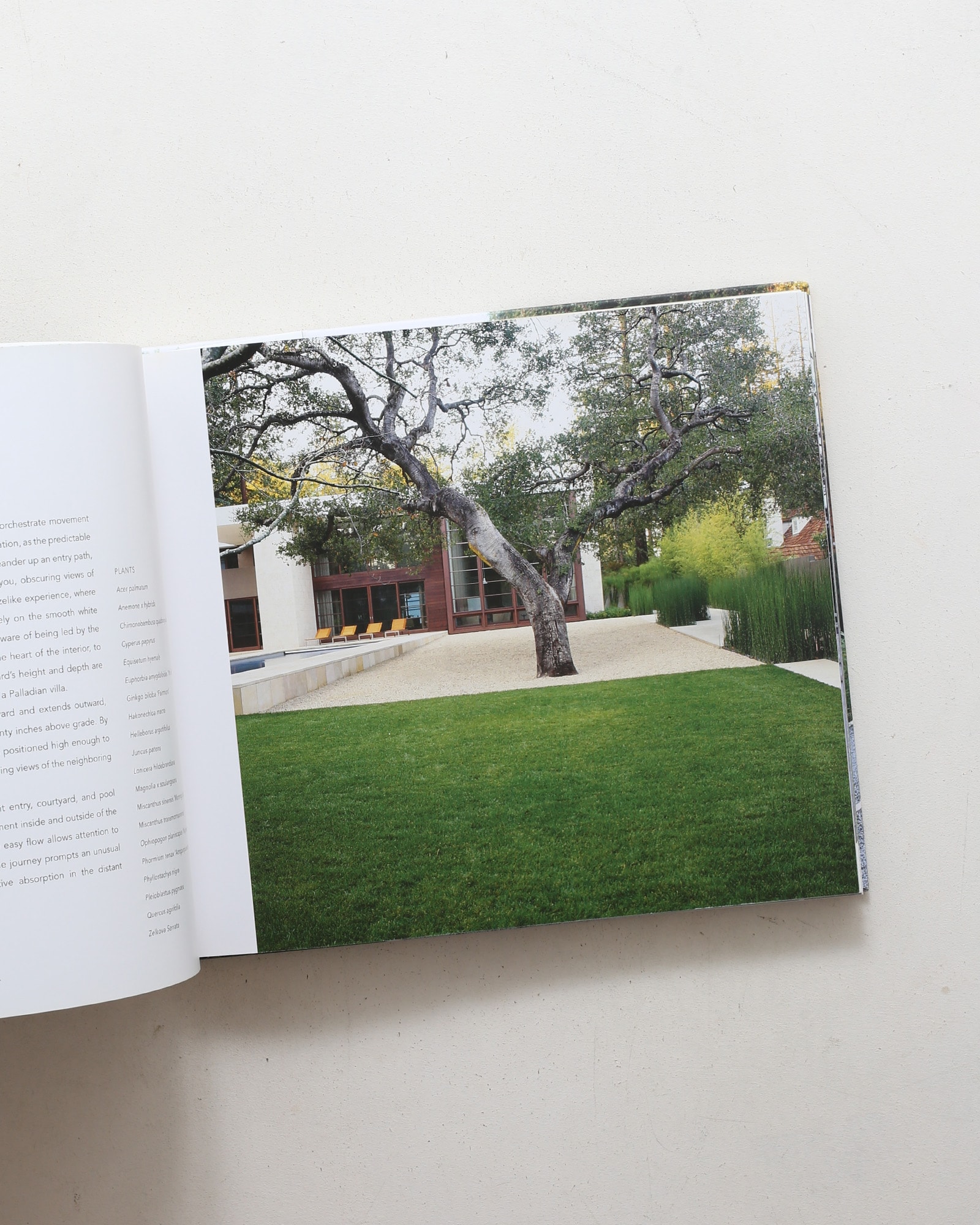Andrea Cochran: Landscapes