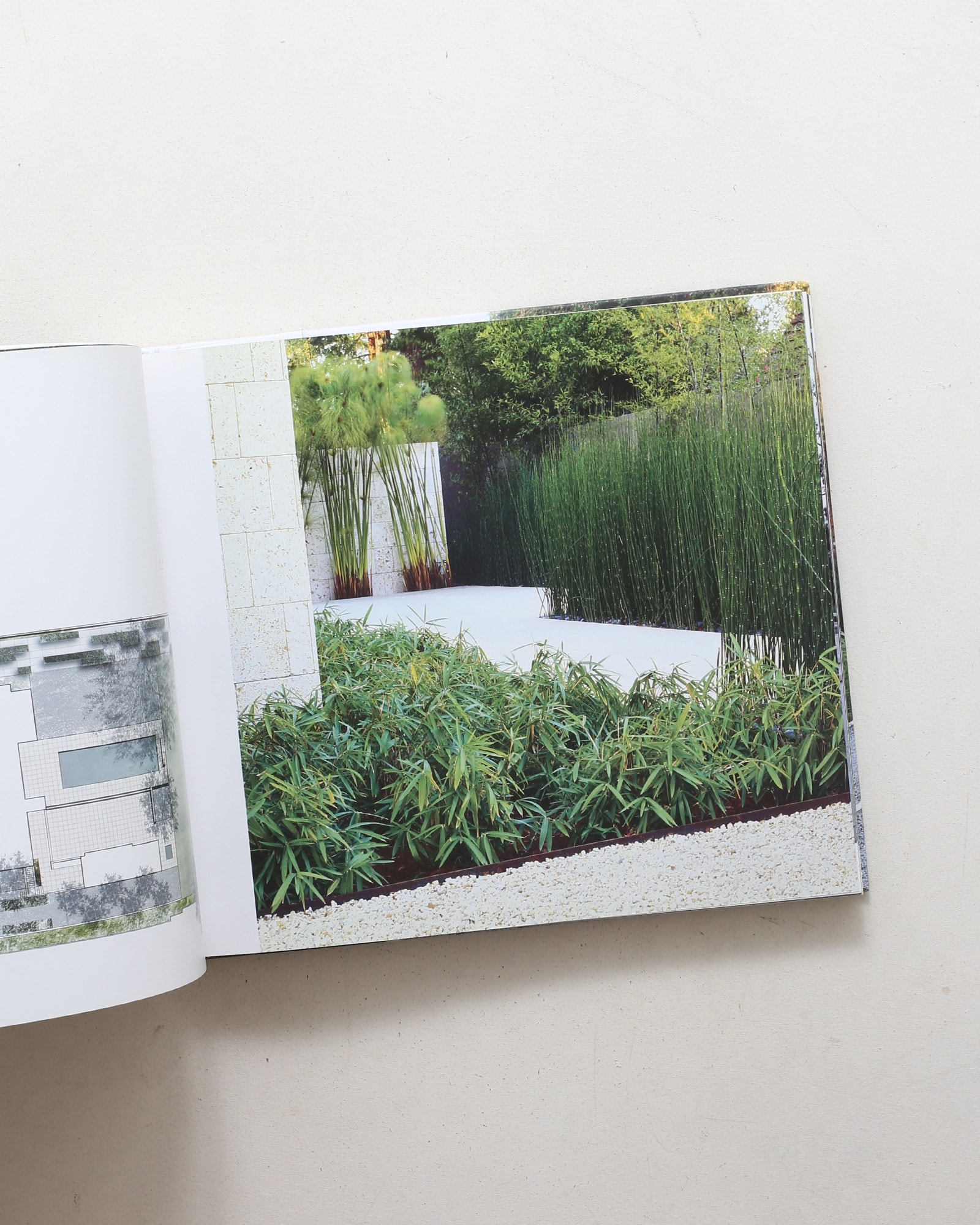 Andrea Cochran: Landscapes