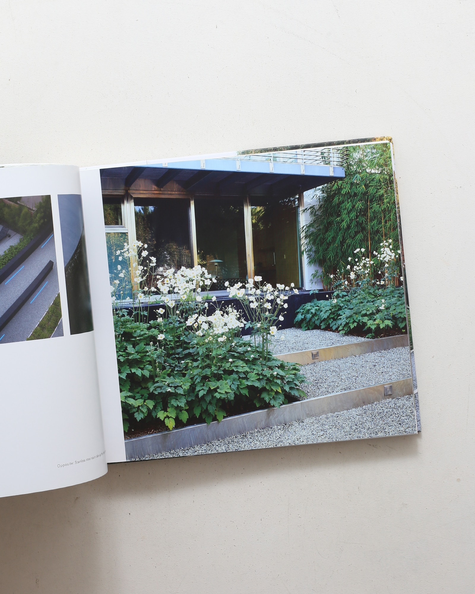 Andrea Cochran: Landscapes | nostos books ノストスブックス