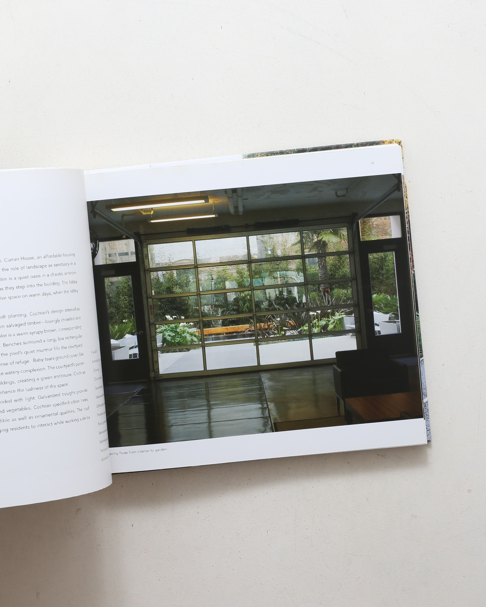 Andrea Cochran: Landscapes