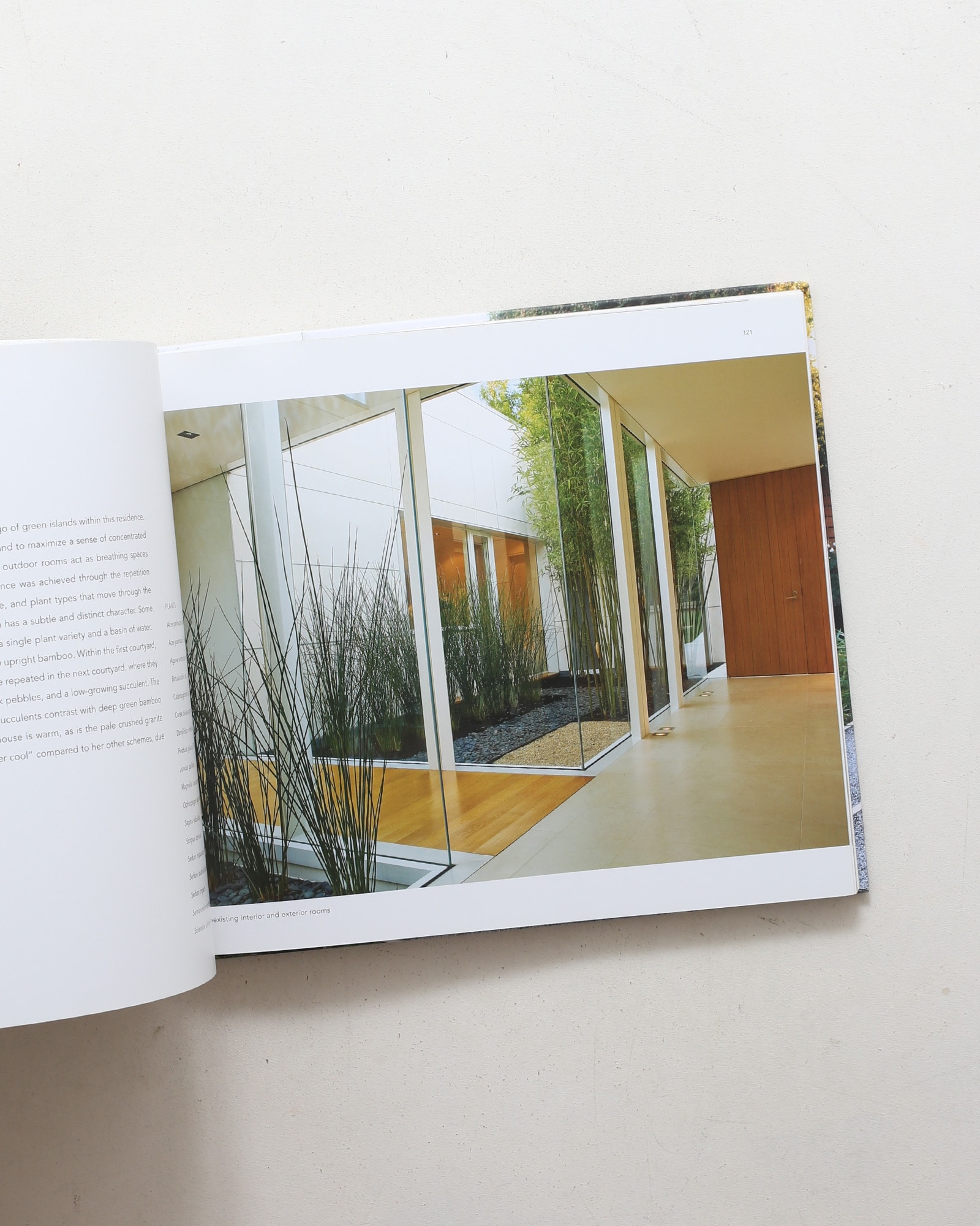 Andrea Cochran: Landscapes | nostos books ノストスブックス