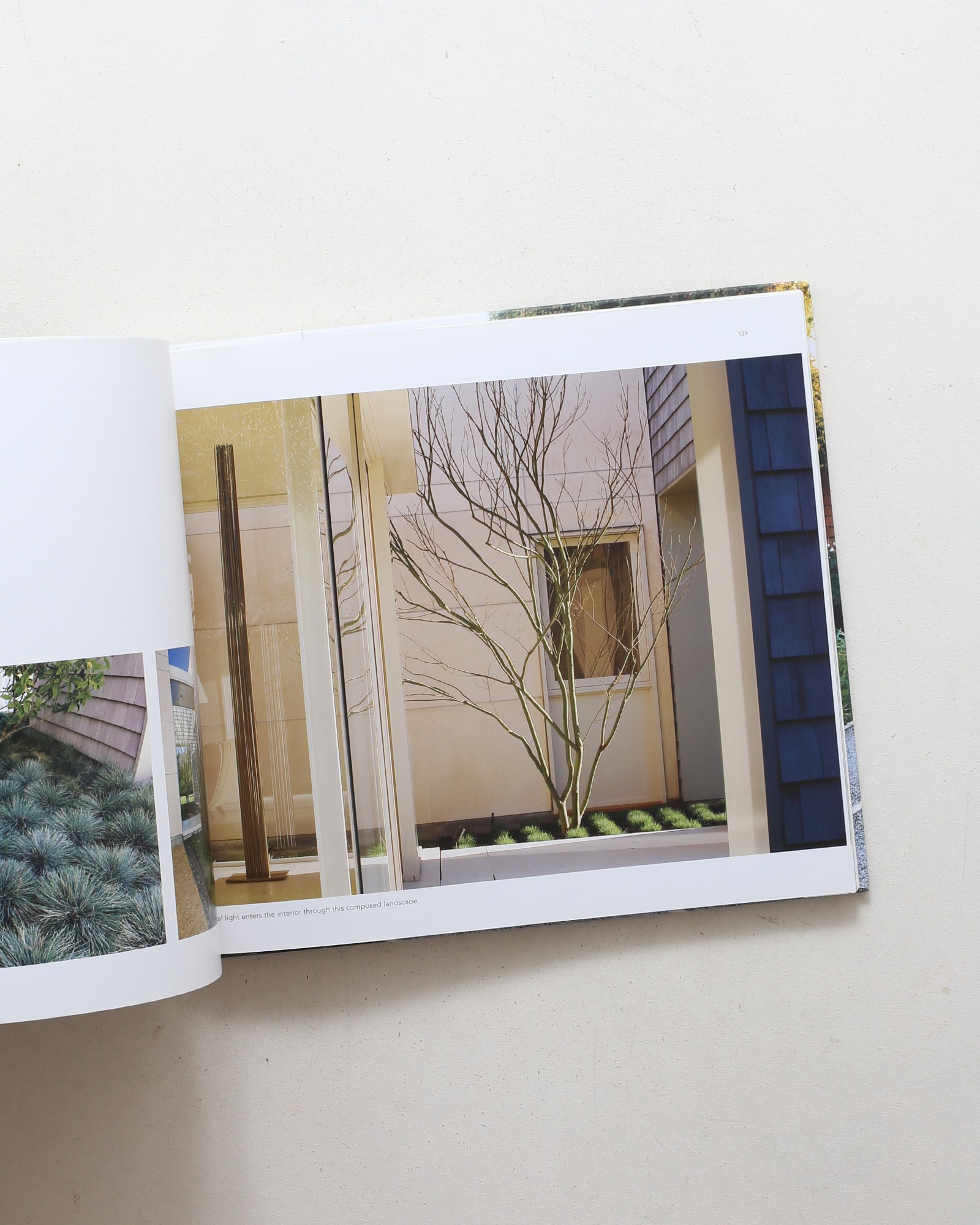 Andrea Cochran: Landscapes