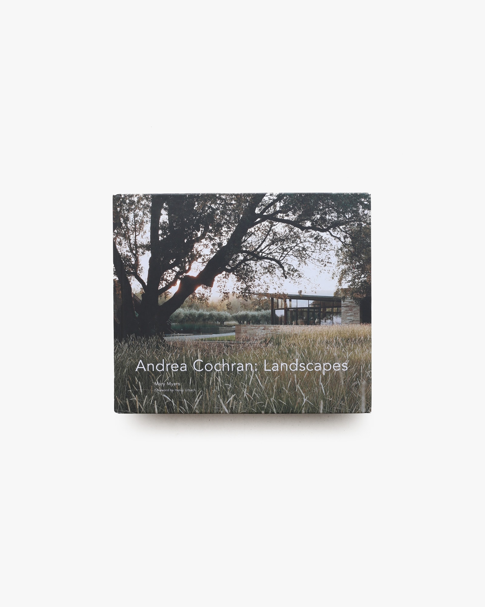 Andrea Cochran: Landscapes