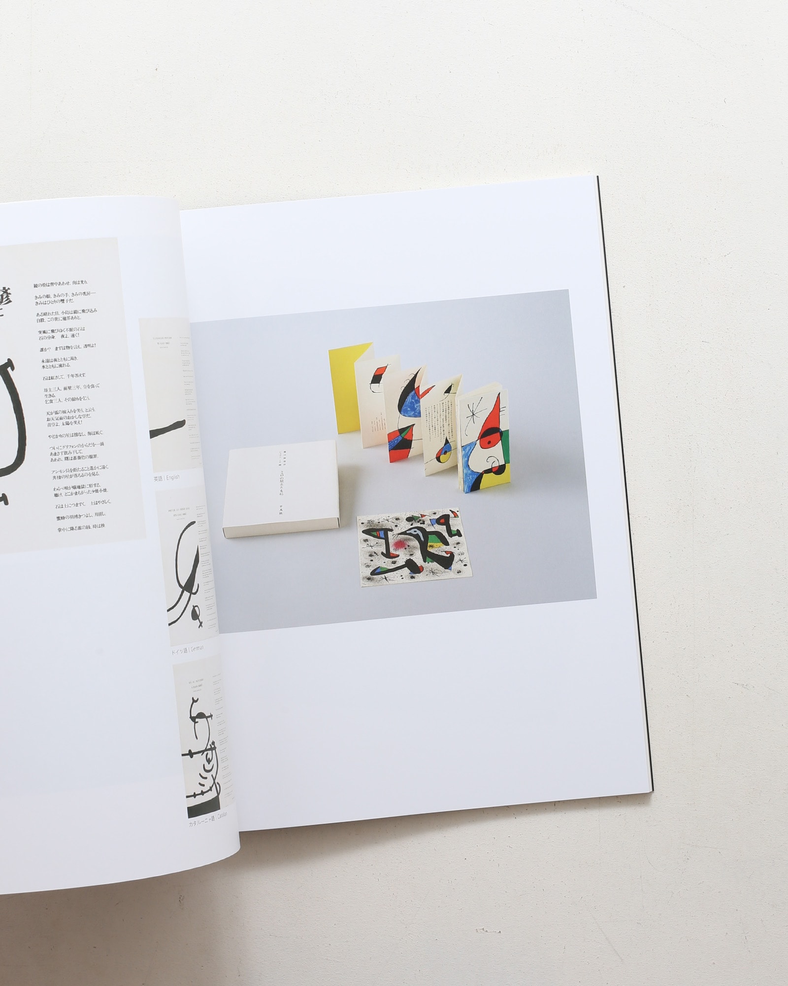 nsts-21498