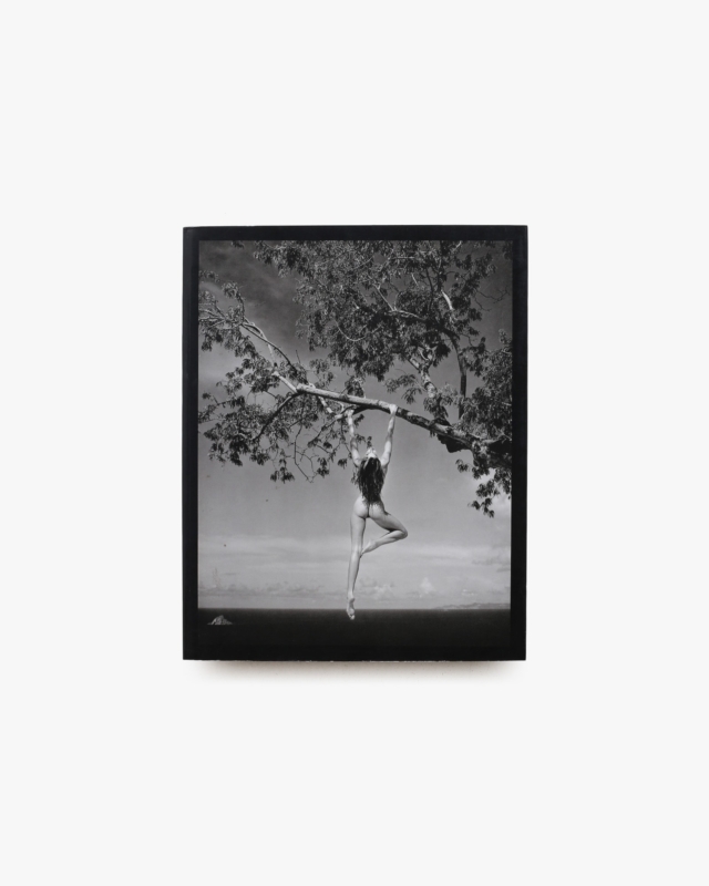 Patrick Demarchelier: Photographs ペーパーバック版