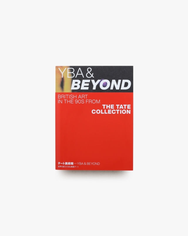 YBA & BEYOND: British Art in the 90s from The Tate Collection