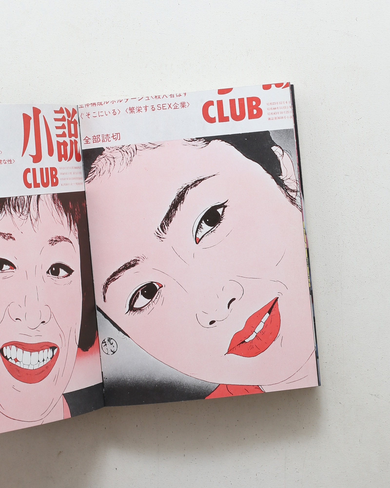 横尾忠則全集 全一巻