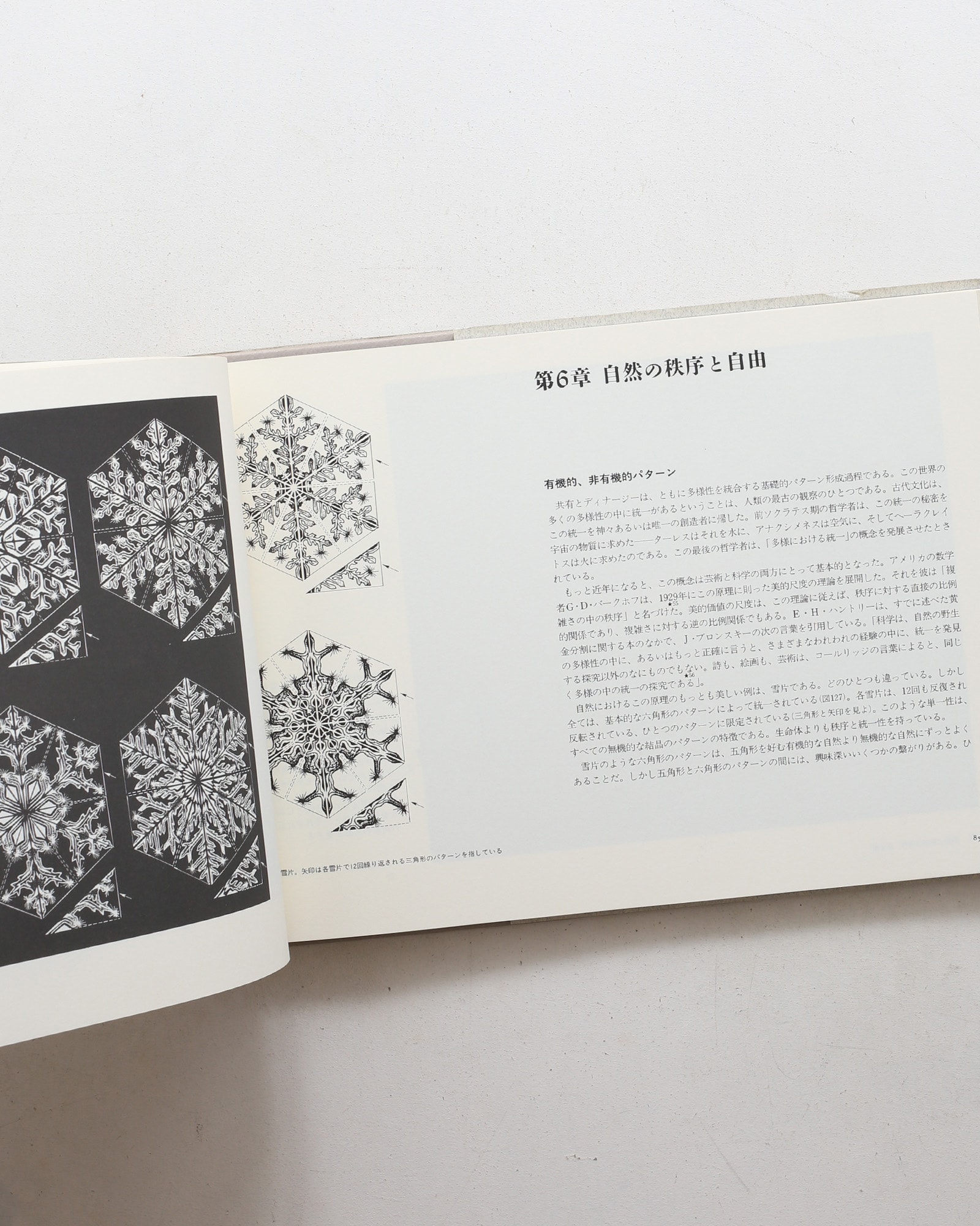 デザインの自然学 自然・芸術・建築におけるプロポーション | ジョージ・ドーチ、多木浩二