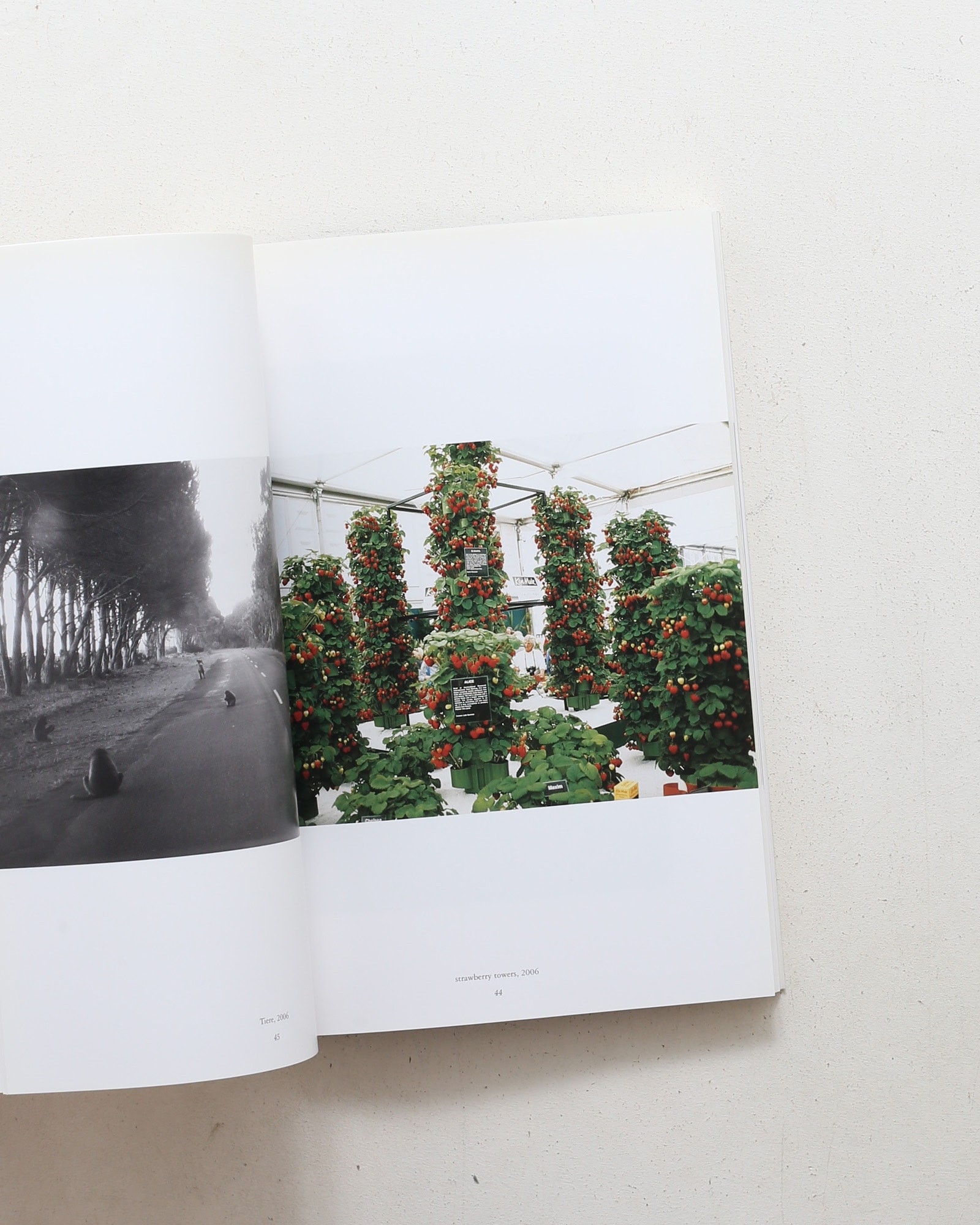 Wolfgang Tillmans: Wako Book 4