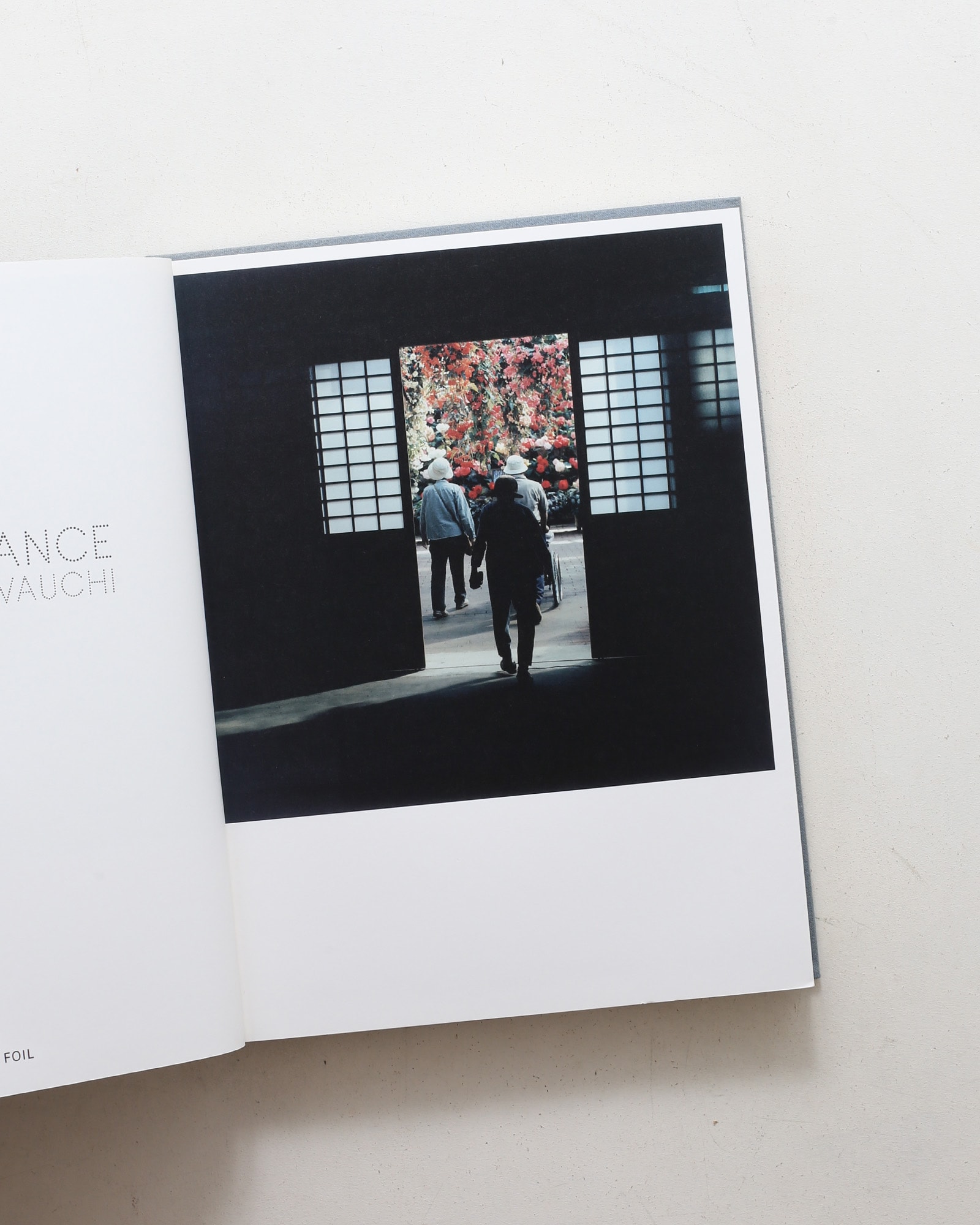 Illuminance | 川内倫子