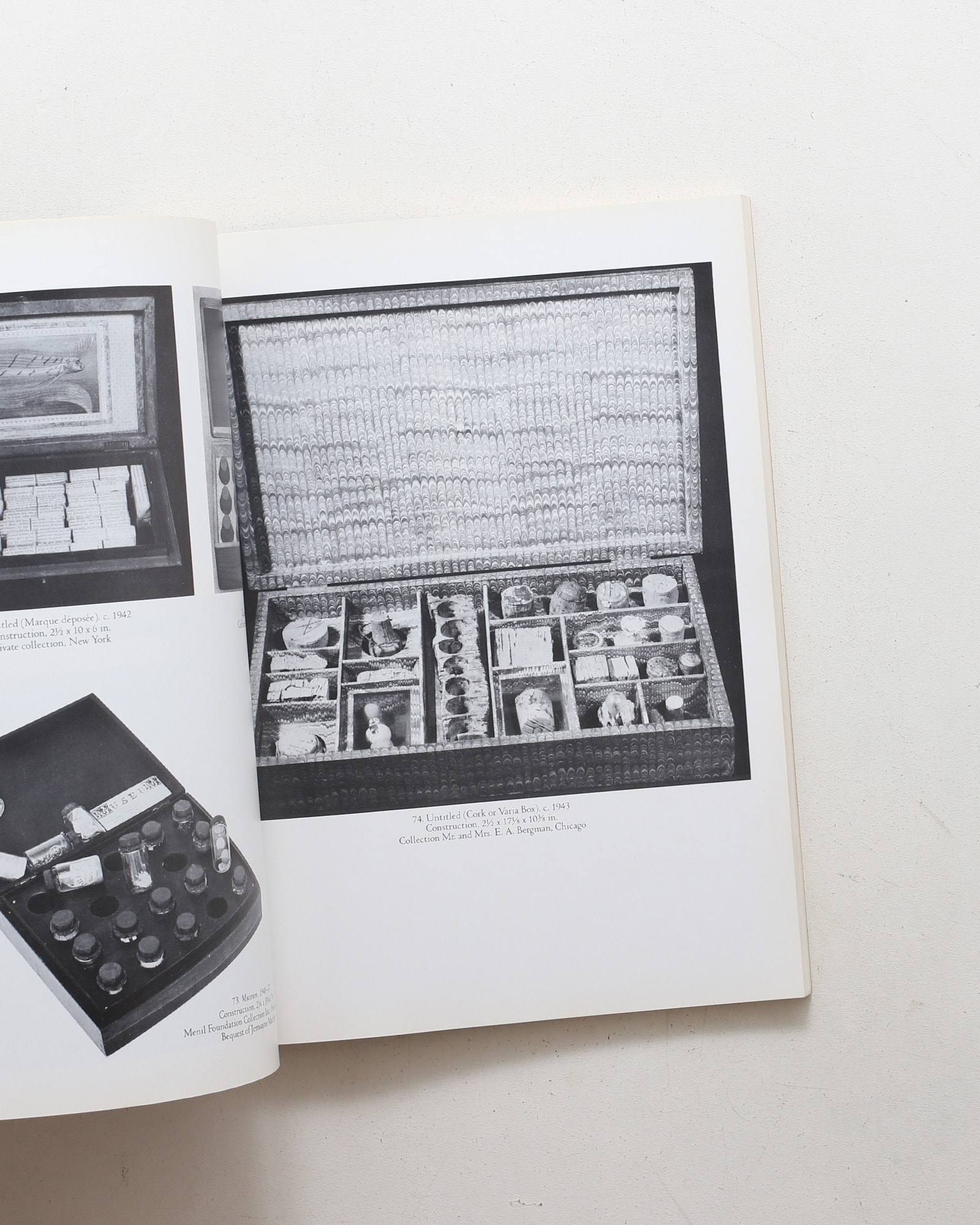 Joseph Cornell ペーパーバック版