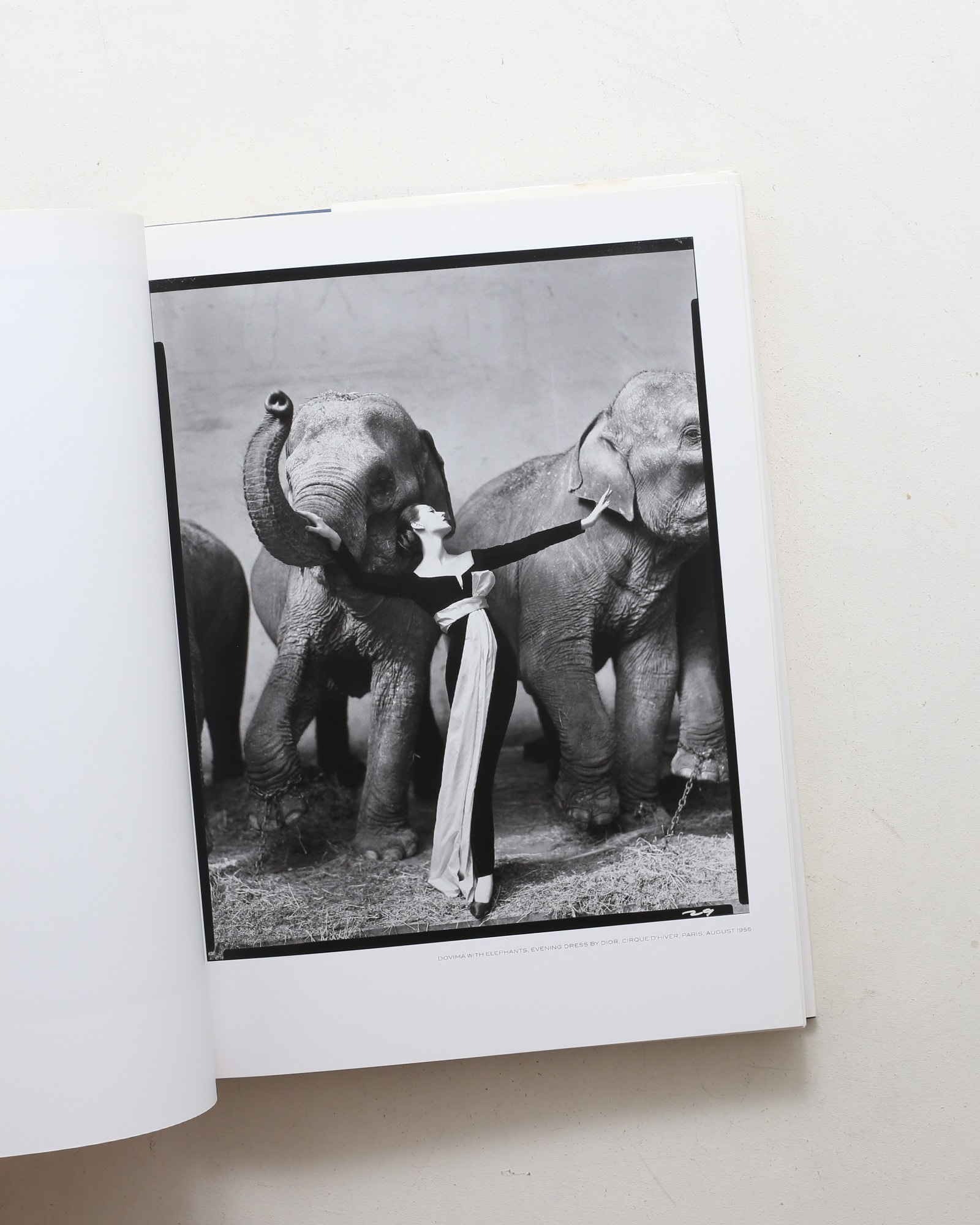 Richard Avedon: Photographs 1946-2004