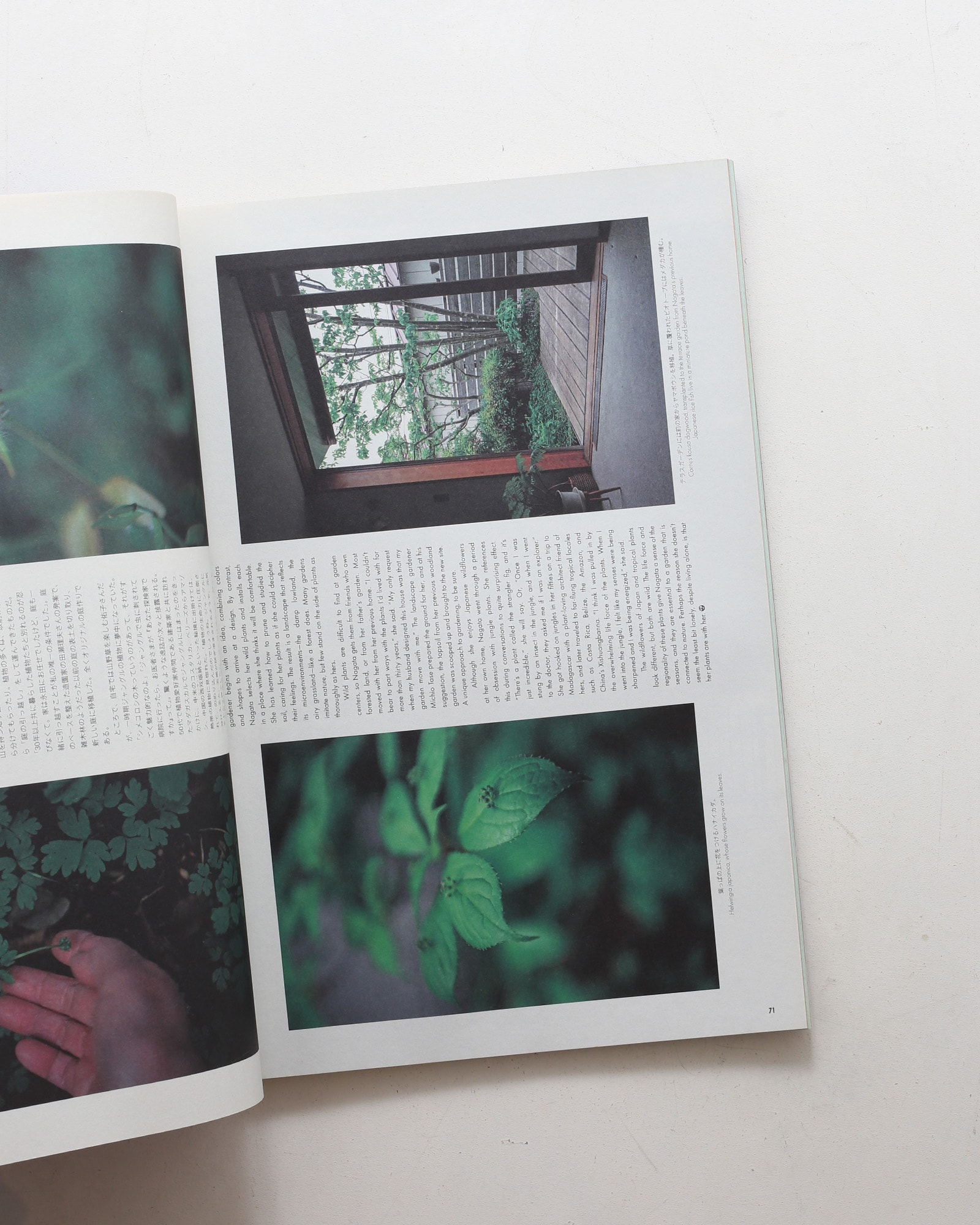 Subsequence Magazine  vol.5