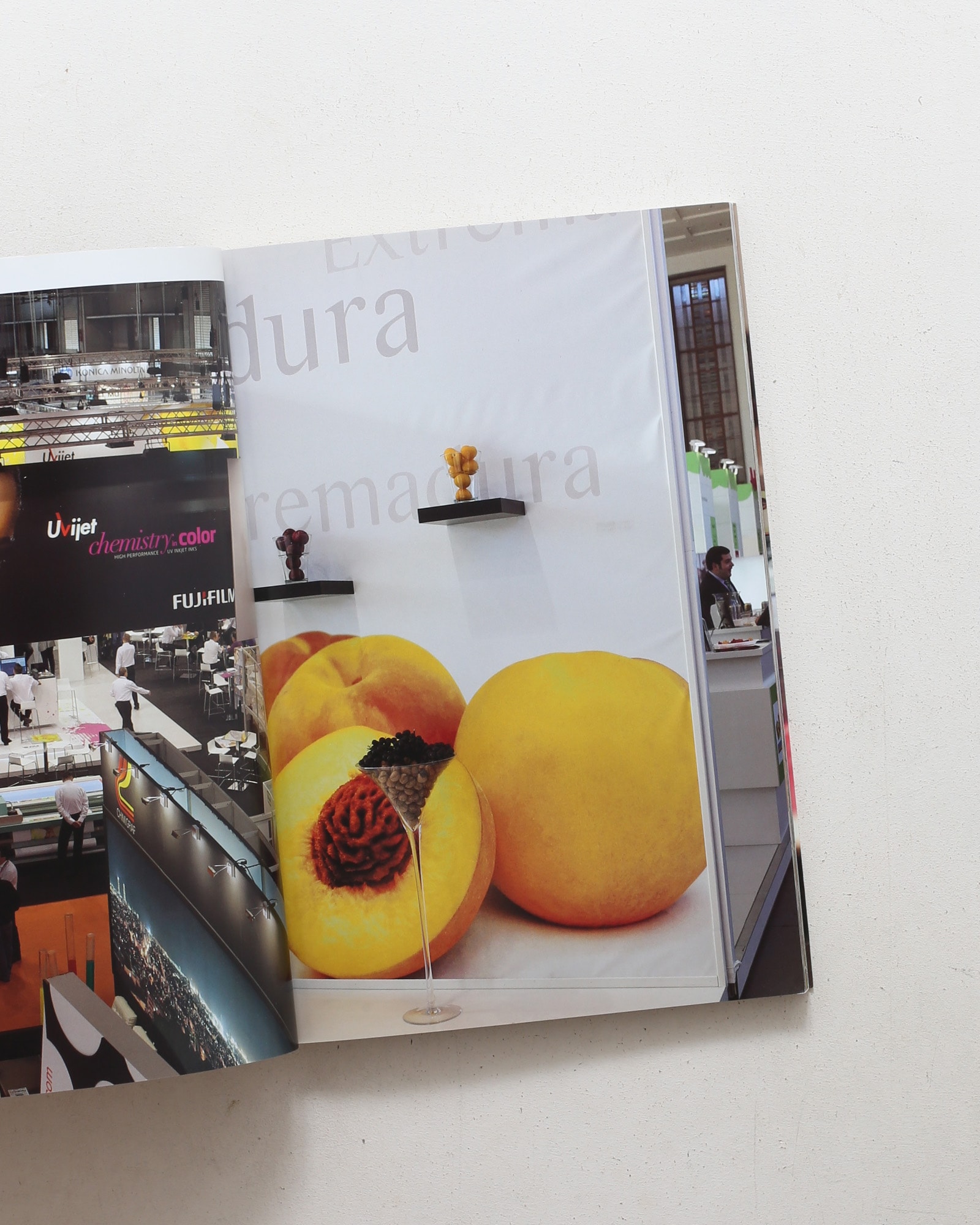 Fruit Logistica | Wolfgang Tillmans