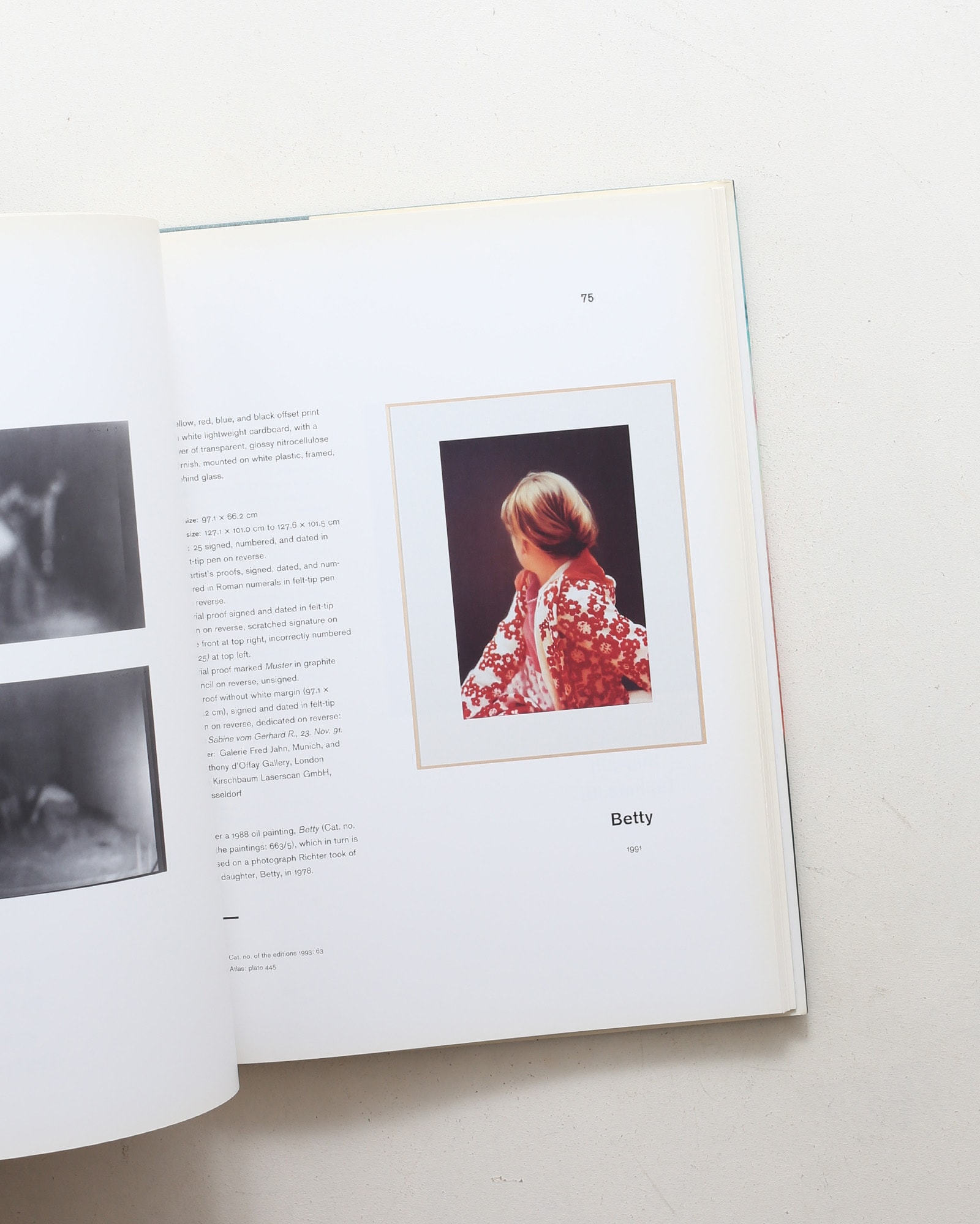 Gerhard Richter: Editions 1965-2004, Catalogue Raisonne
