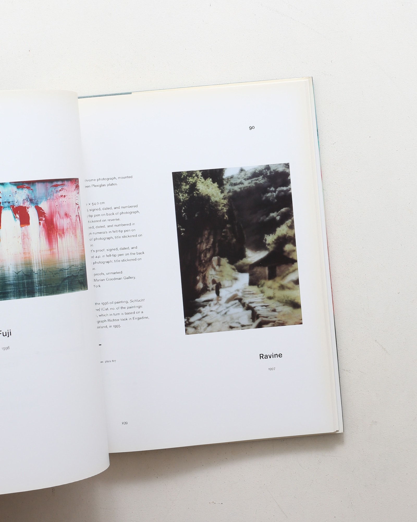 Gerhard Richter: Editions 1965-2004, Catalogue Raisonne