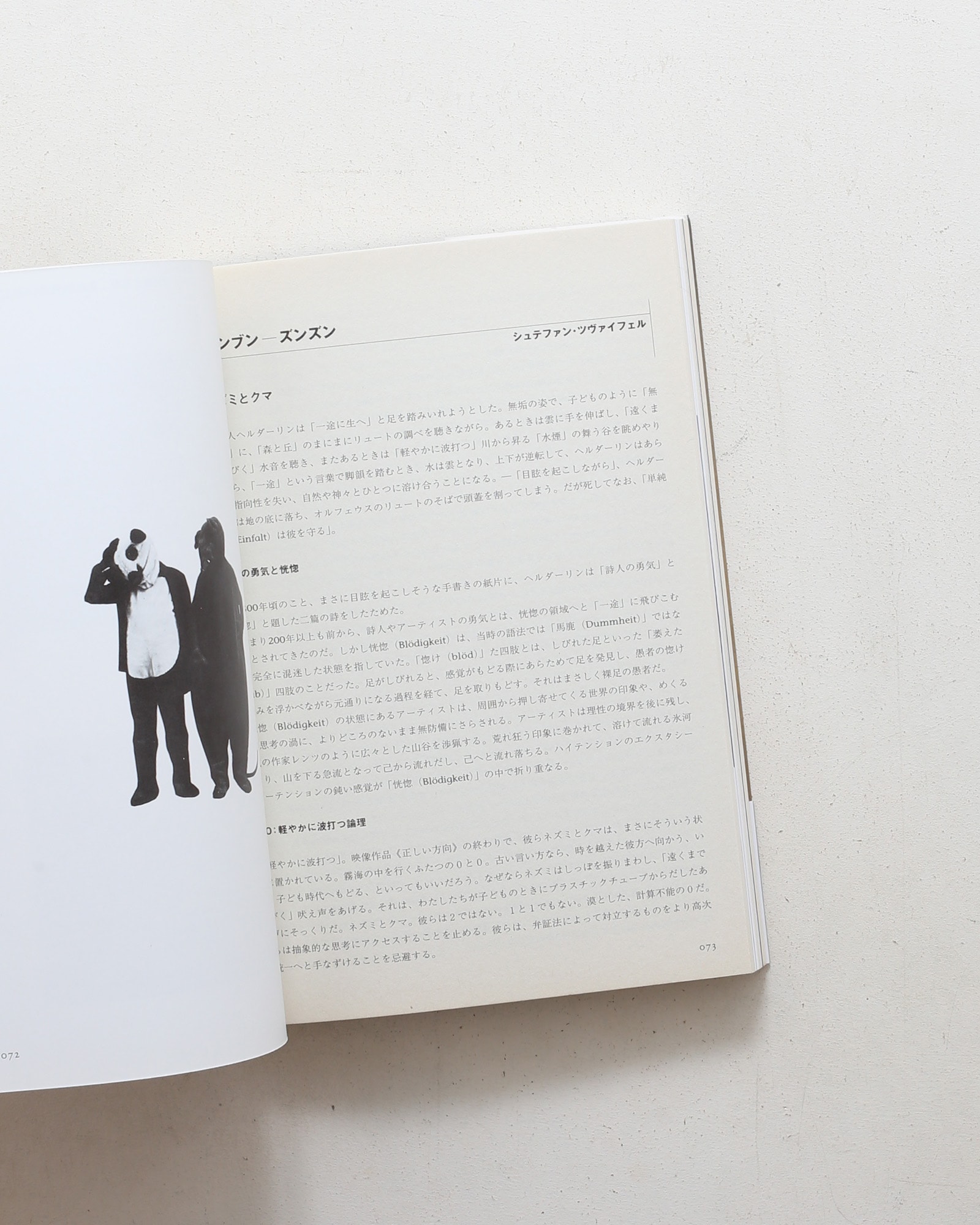 ペーター・フィッシュリ ／ ダヴィッド・ヴァイス | nostos books