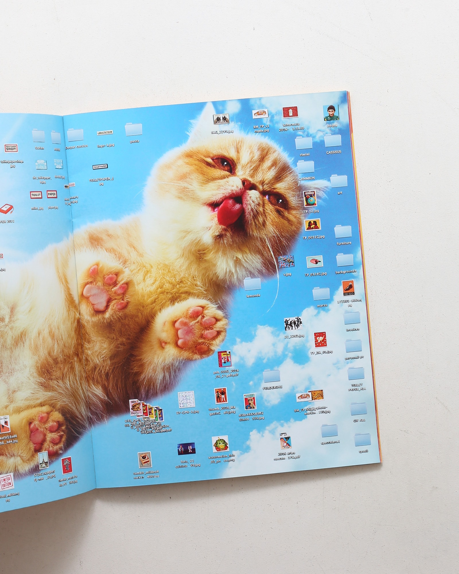Toiletpaper Magazine 15 | Damiani