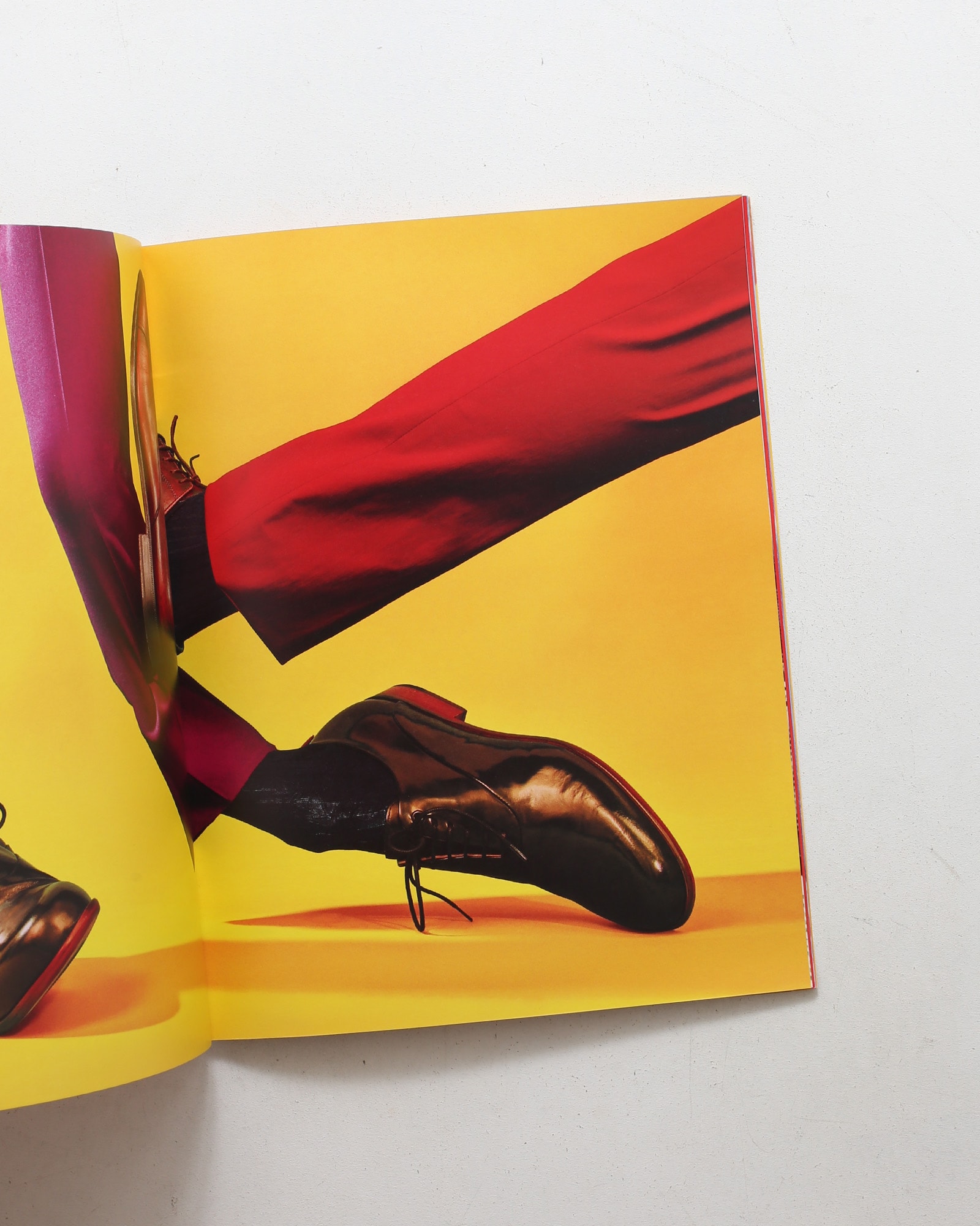 Toiletpaper Magazine 15 | Damiani