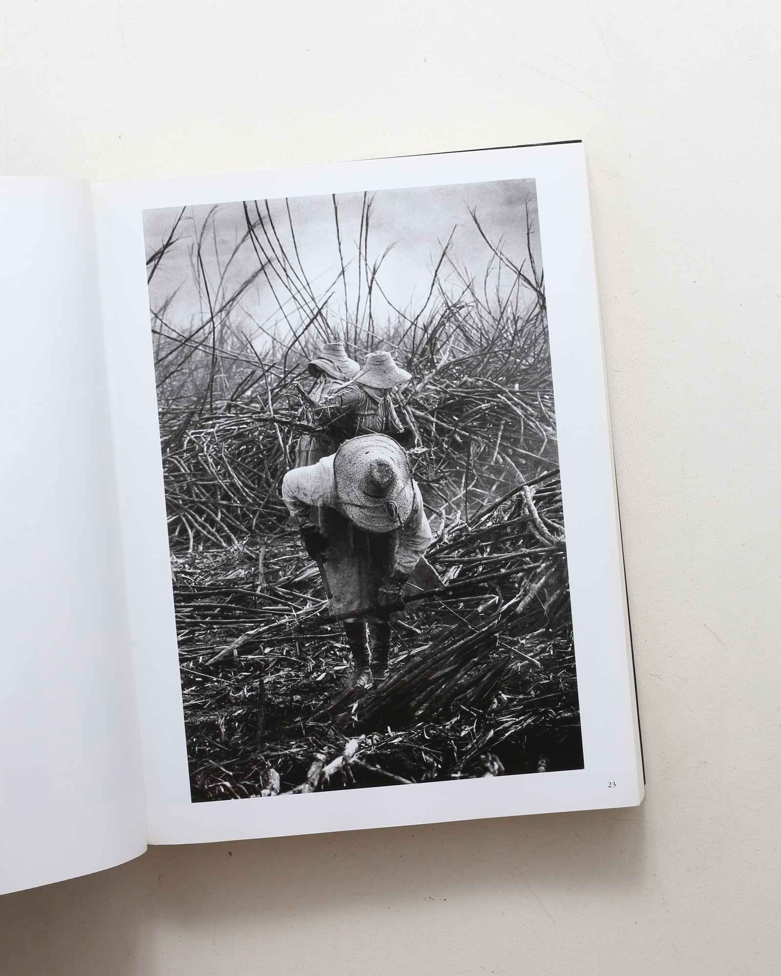 Sebastiao Salgado: Workers
