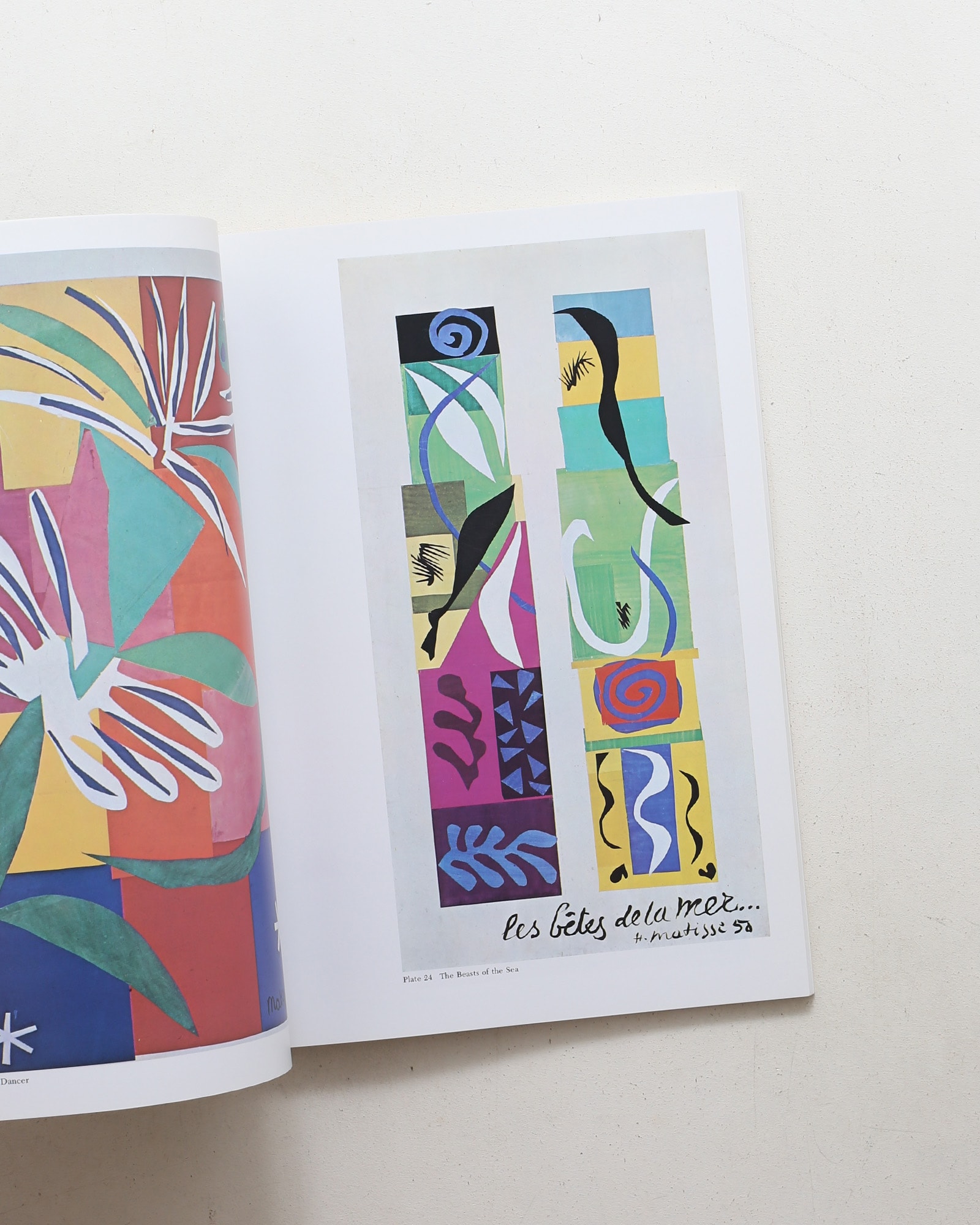 The Cut-Outs of Henri Matisse