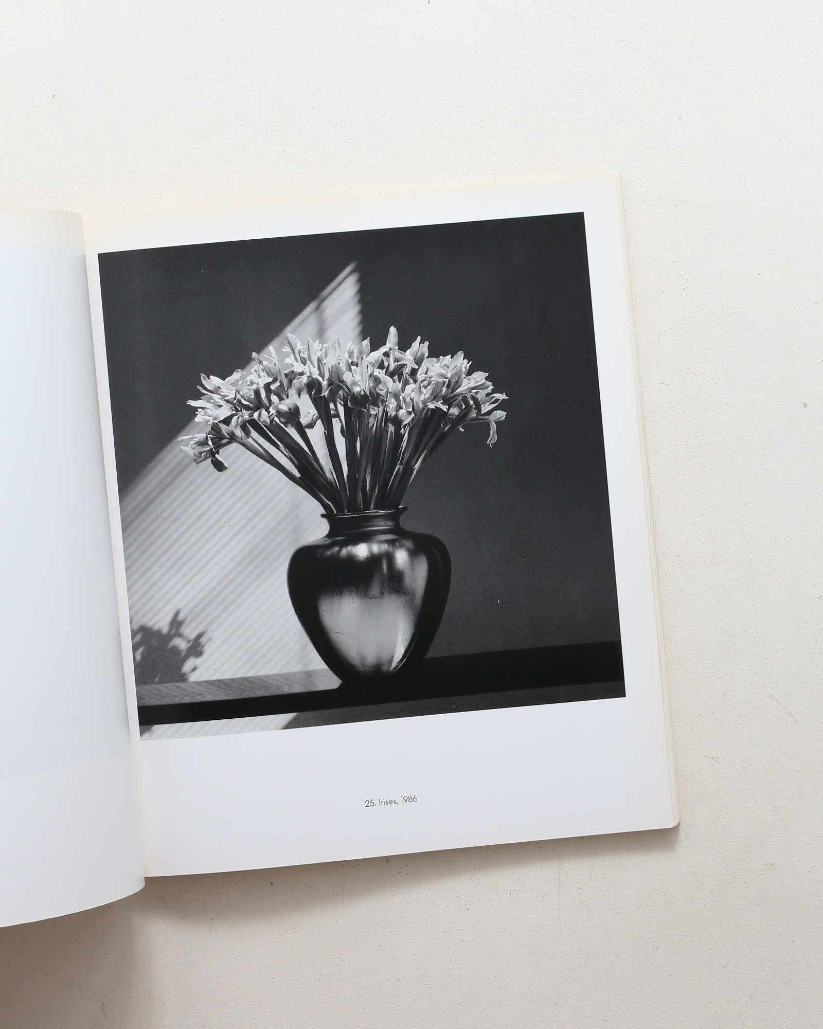 Ten by Ten | Robert Mapplethorpe