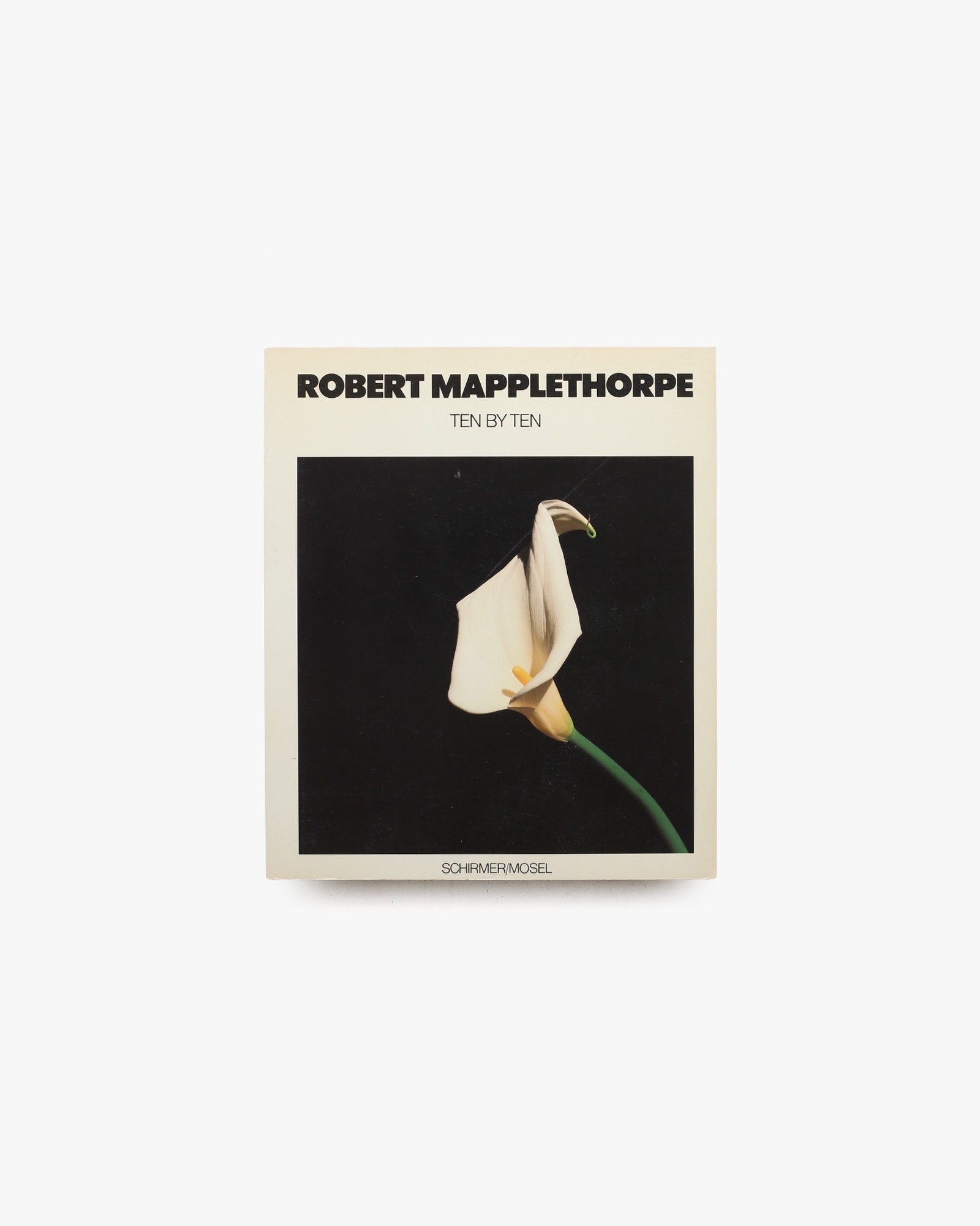 Ten by Ten | Robert Mapplethorpe