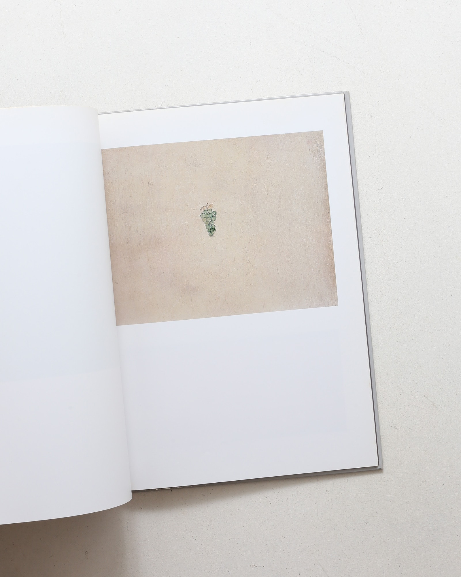 Art Random 5 Vincent Gallo | nostos books ノストスブックス
