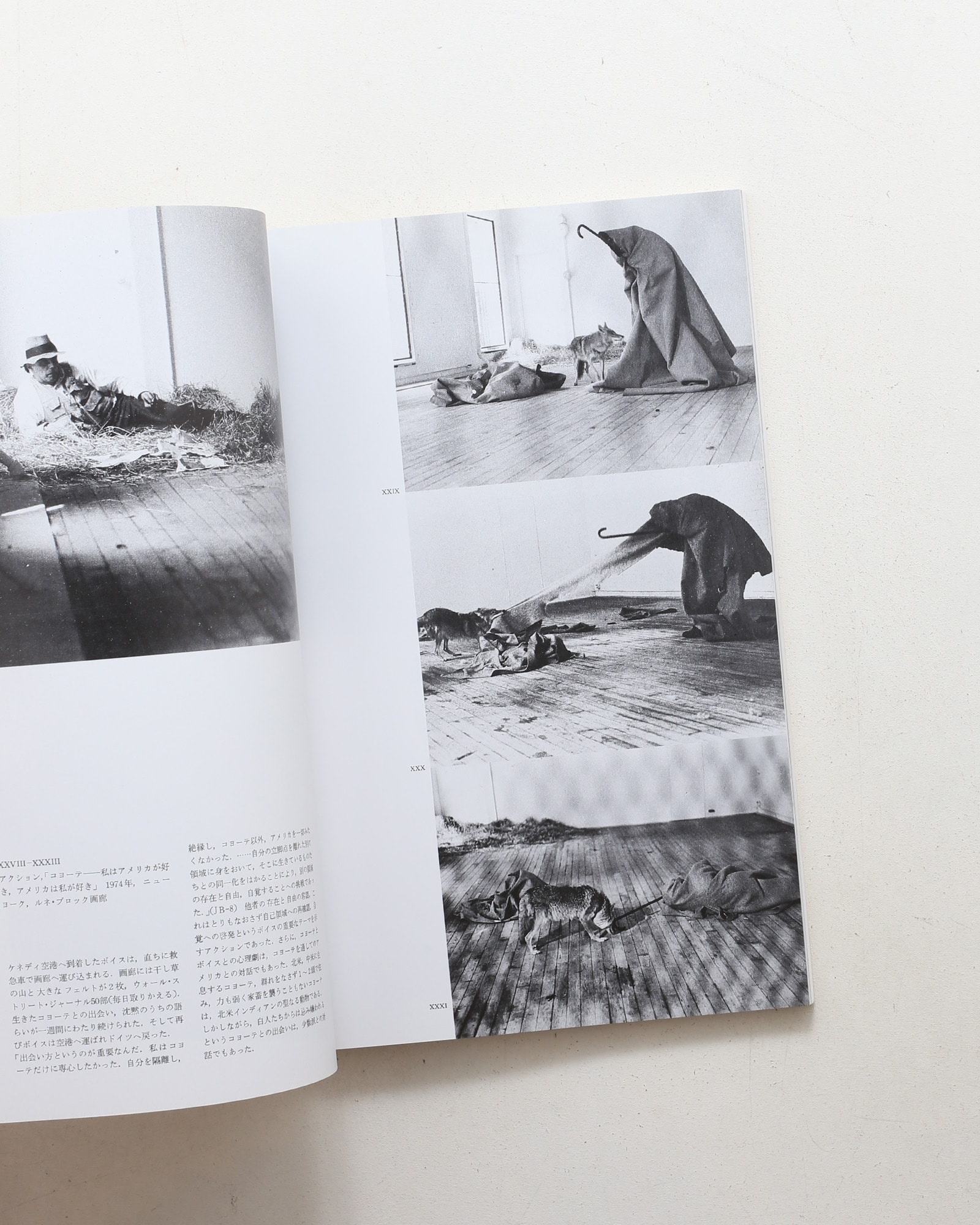 ヨーゼフ・ボイス展