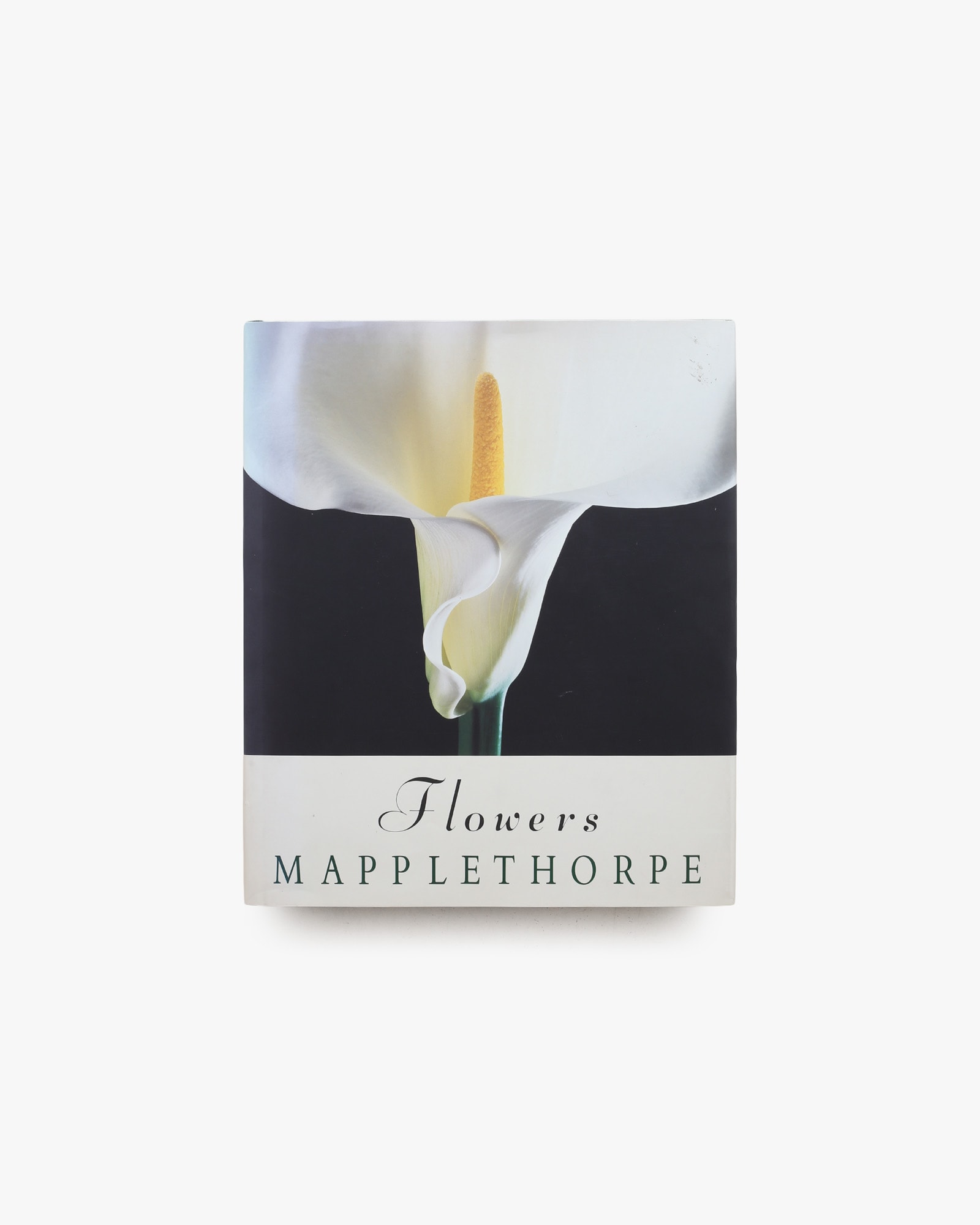 Robert Mapplethorpe: Flowers ハードカバー版